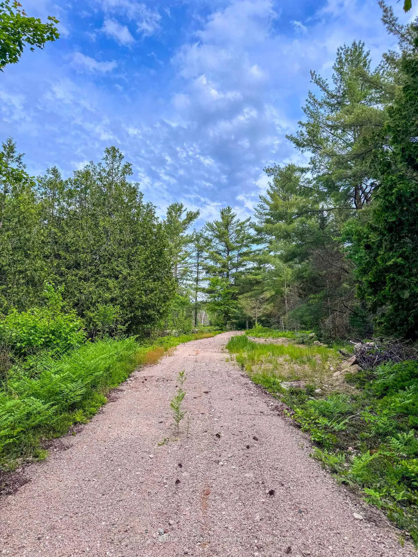 Photo 10 of Pt Lt 10 Highway 531, Bonfield — HOMEH