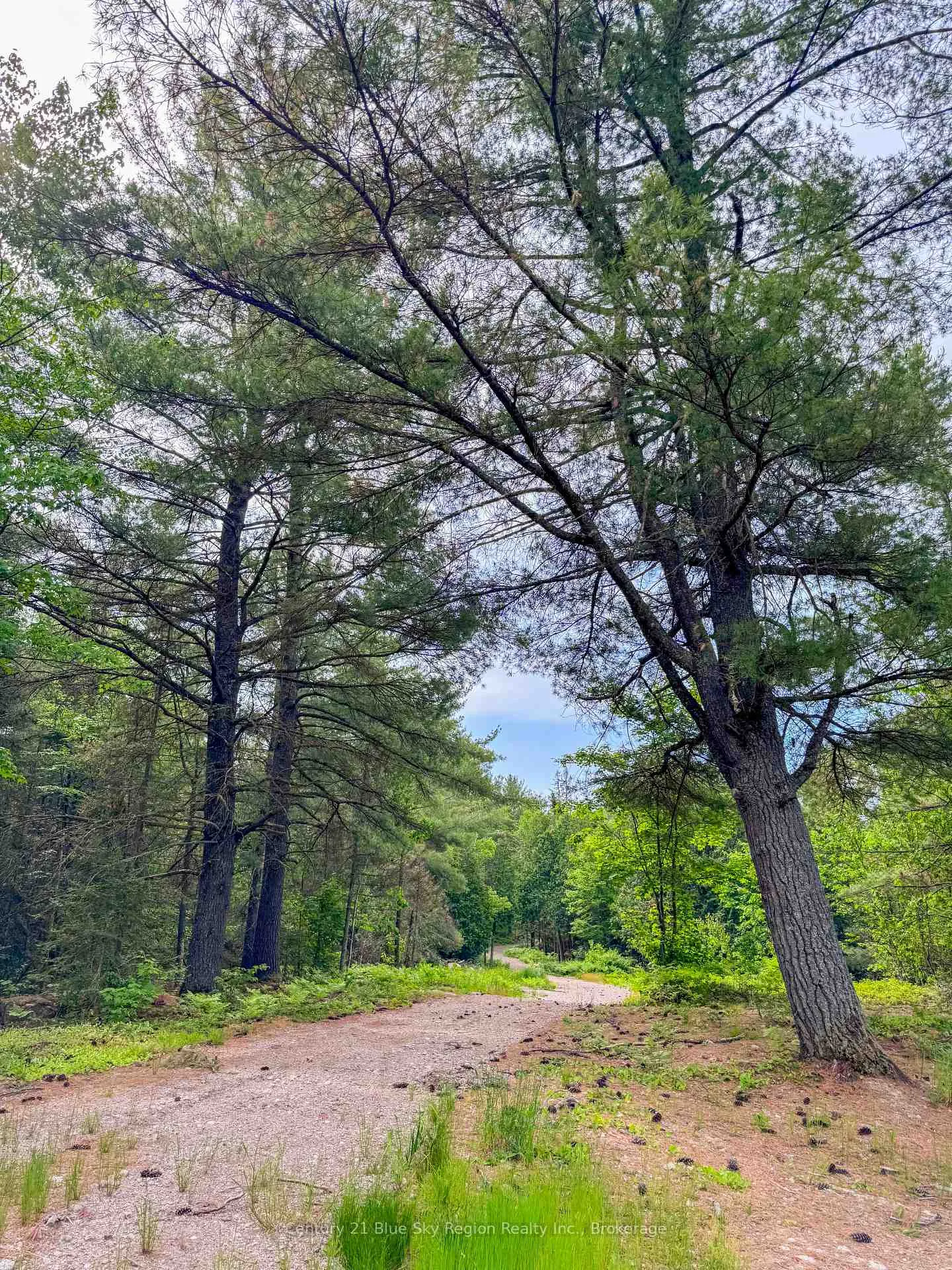 Photo 11 of Pt Lt 10 Highway 531, Bonfield — HOMEH