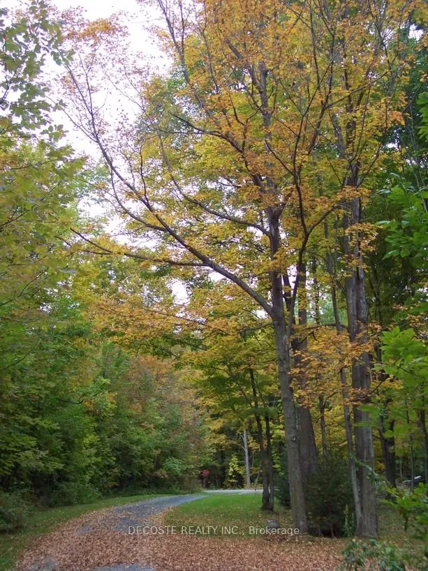 Photo 9 of 0000 County 43 Road, North Glengarry, North Glengarry (Kenyon) Twp — HOMEH