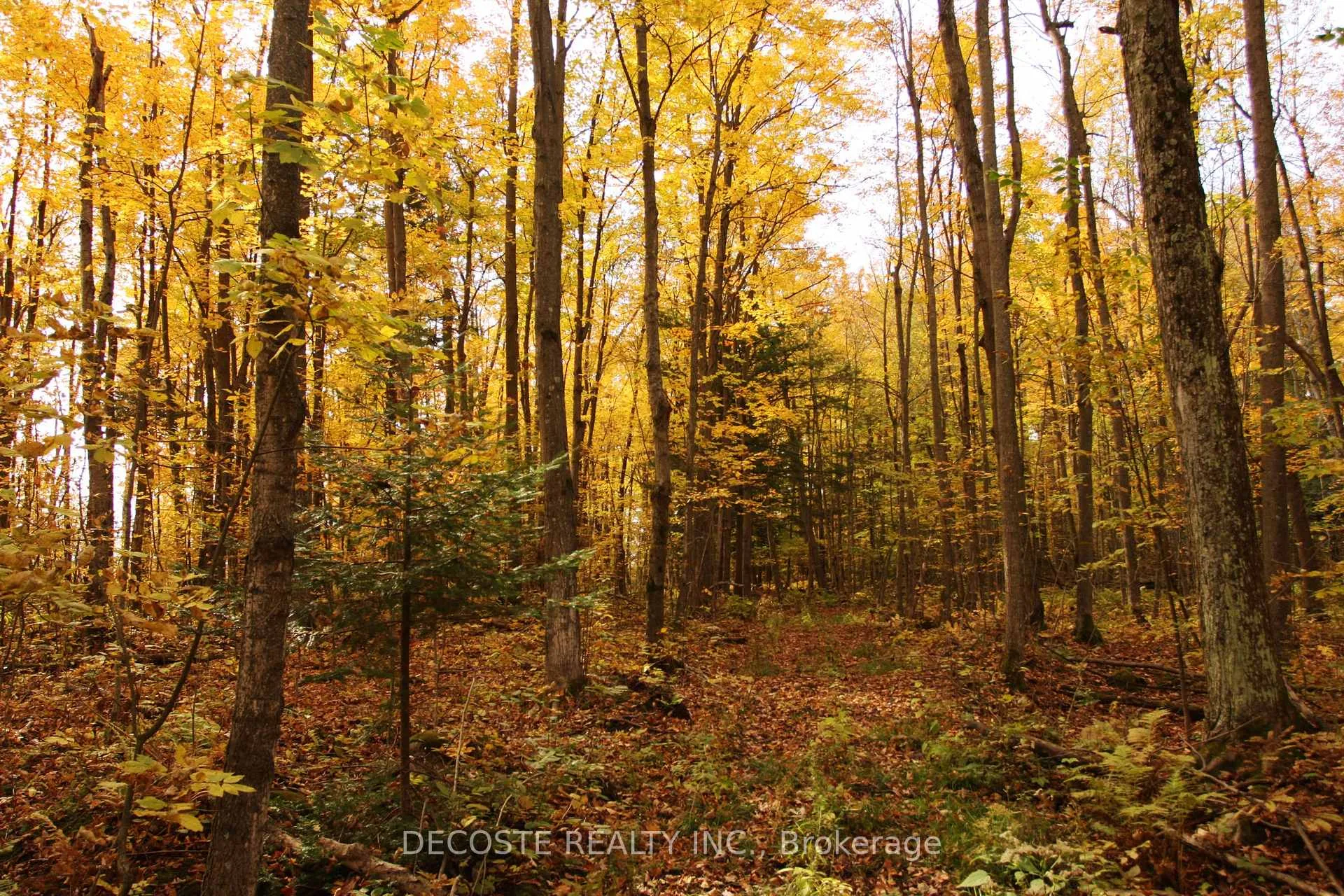 Photo 20 of 0000 County 43 Road, North Glengarry, North Glengarry (Kenyon) Twp — HOMEH