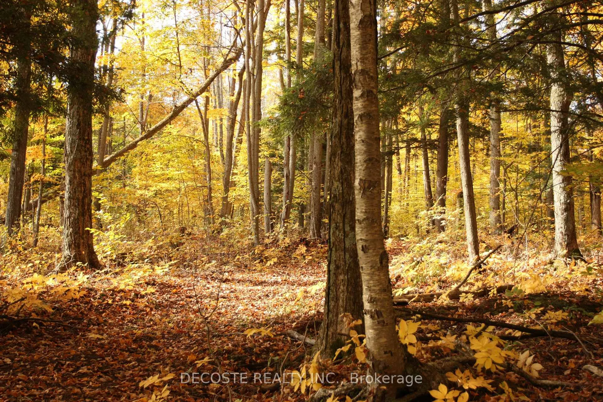 Photo 21 of 0000 County 43 Road, North Glengarry, North Glengarry (Kenyon) Twp — HOMEH