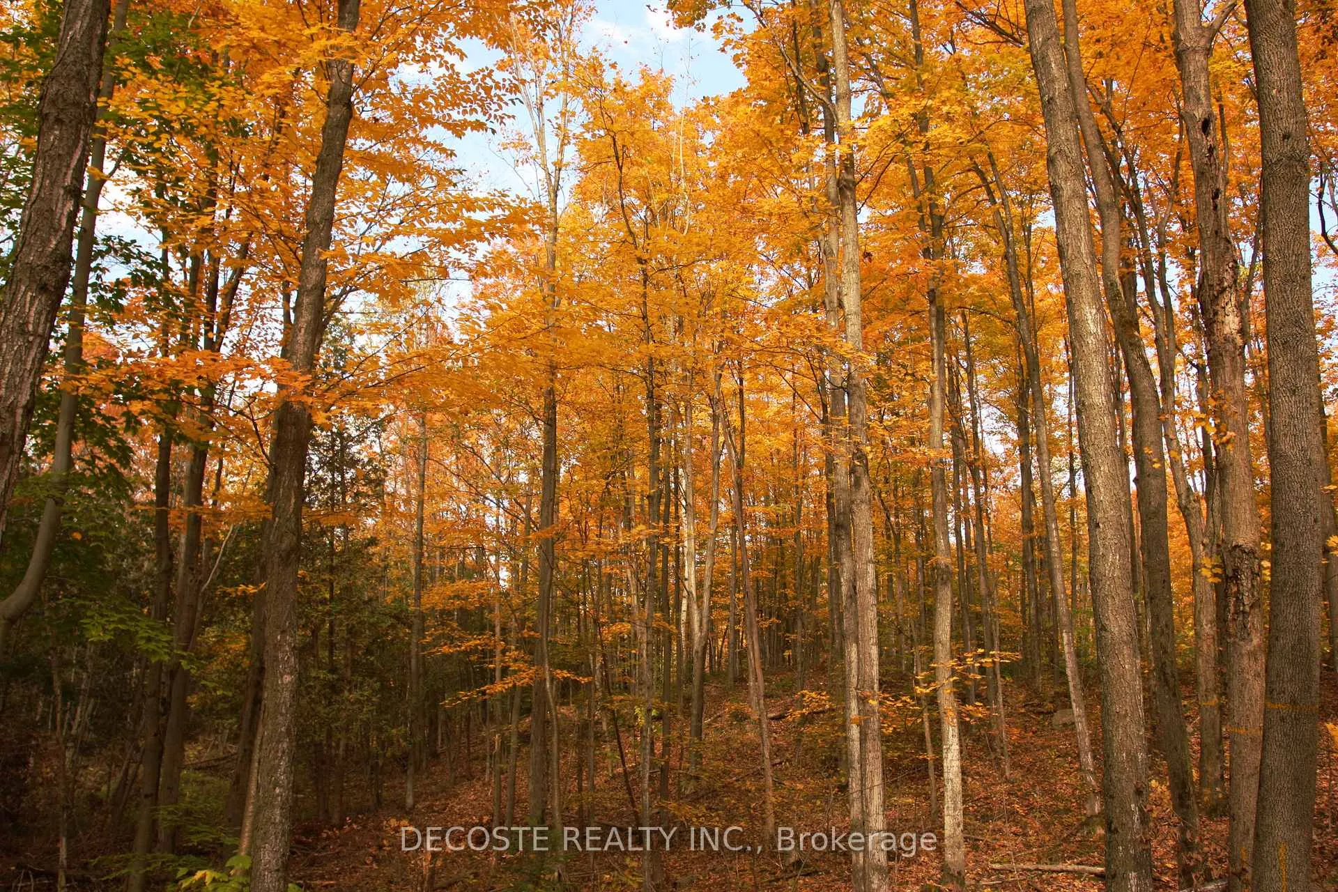 Photo 22 of 0000 County 43 Road, North Glengarry, North Glengarry (Kenyon) Twp — HOMEH