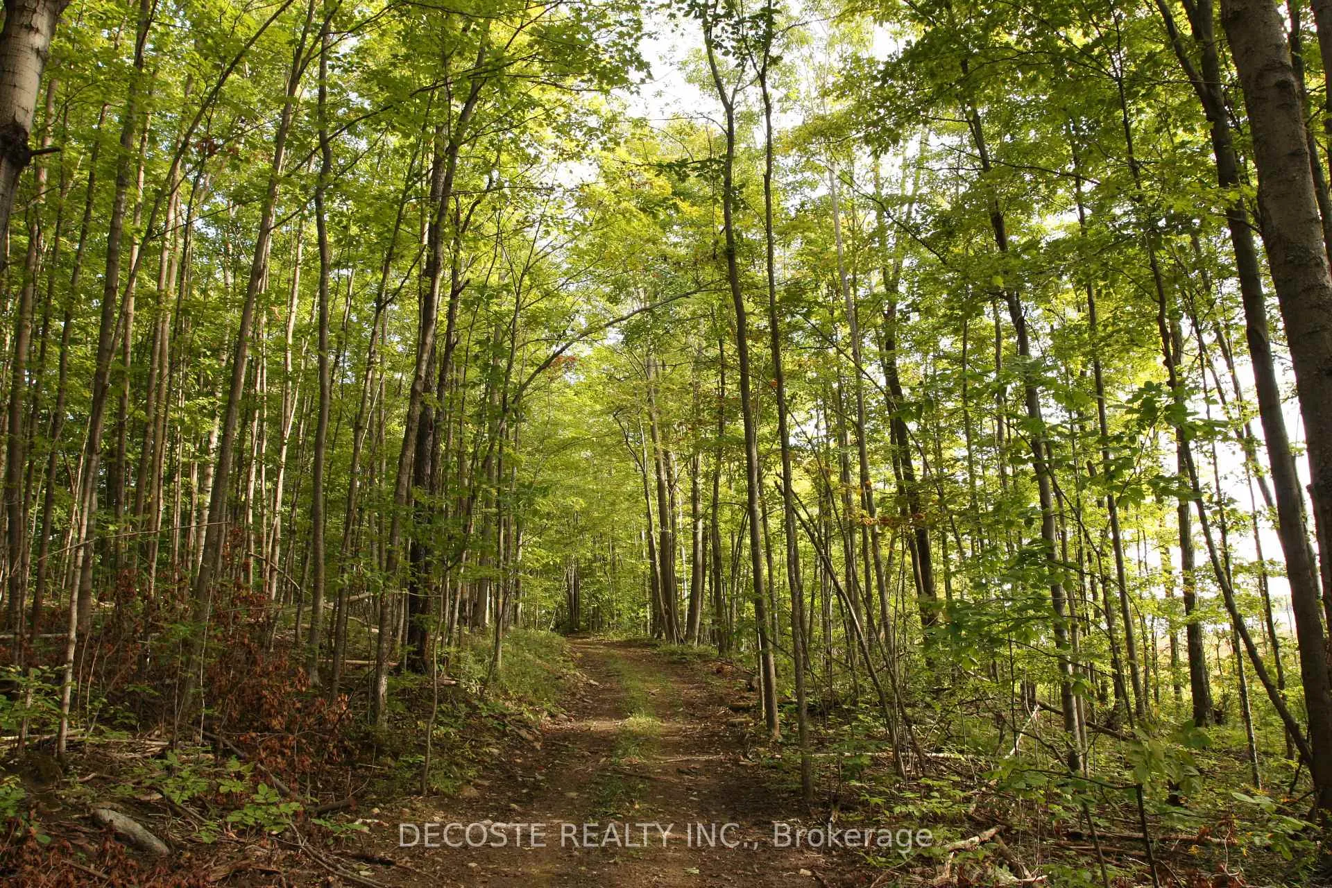 Photo 26 of 0000 County 43 Road, North Glengarry, North Glengarry (Kenyon) Twp — HOMEH