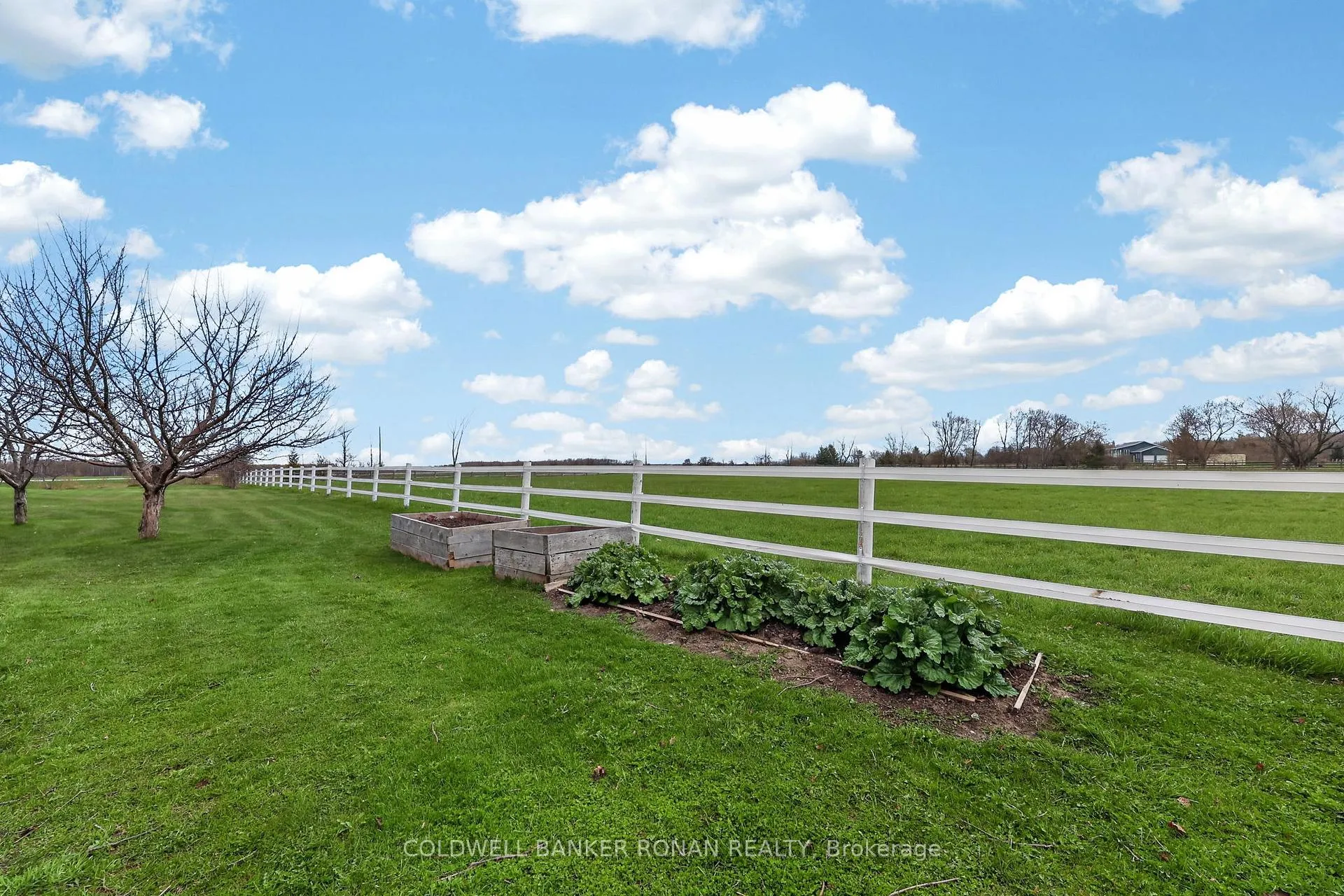 Photo 41 of 5321 Concession 7, Clearview, Rural Clearview — HOMEH