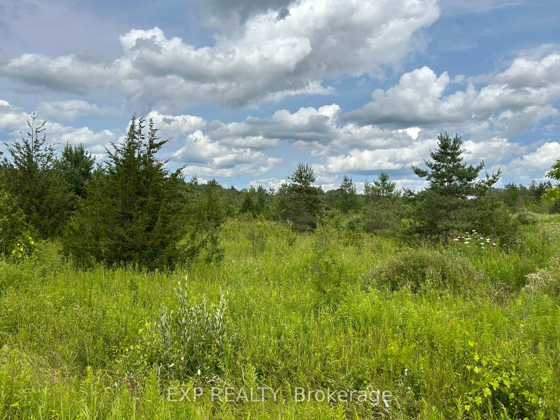 Photo 1 of 1155 Wood Road, Tay, Rural Tay — HOMEH