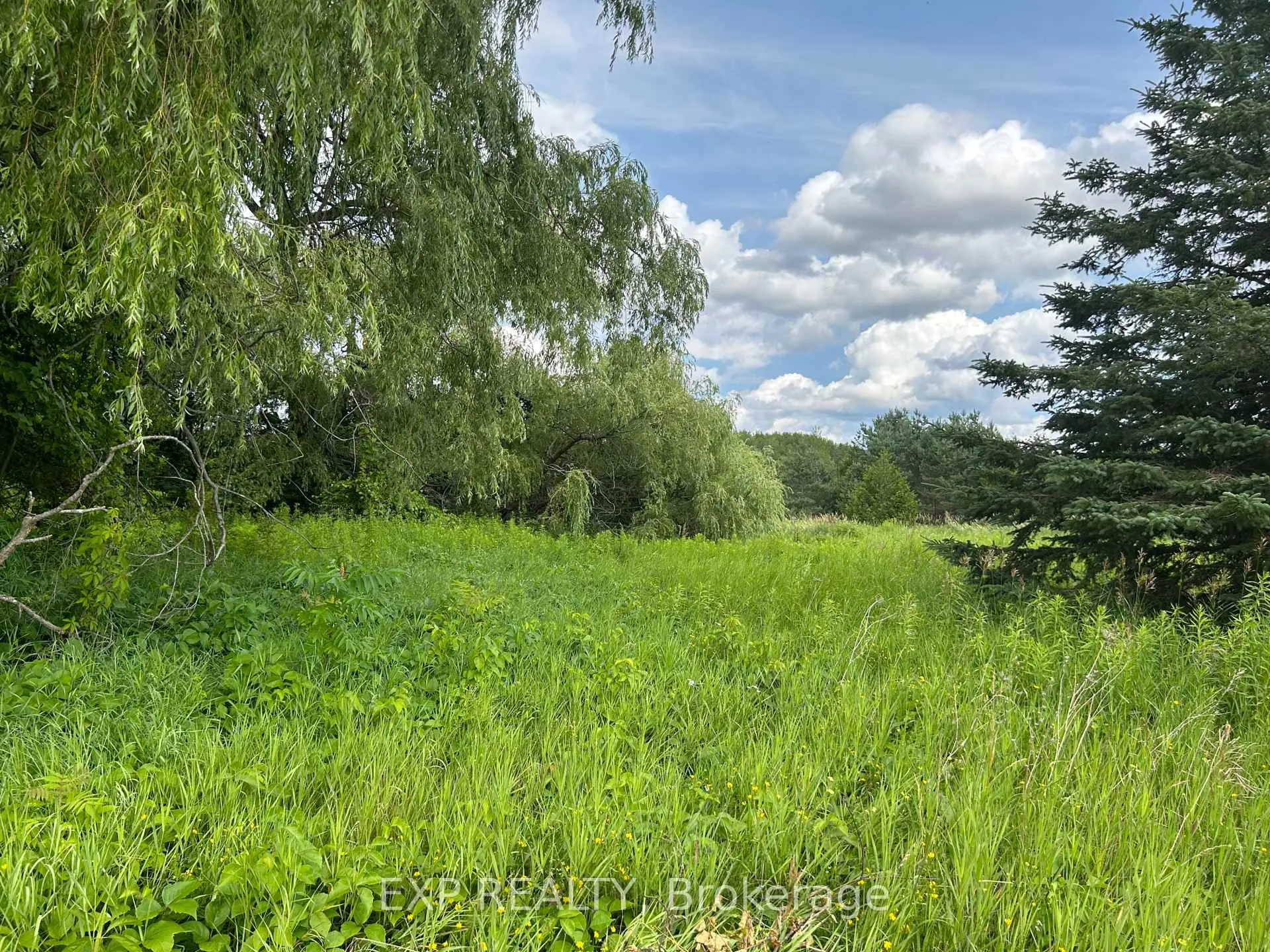 Photo of 1125 Wood Road