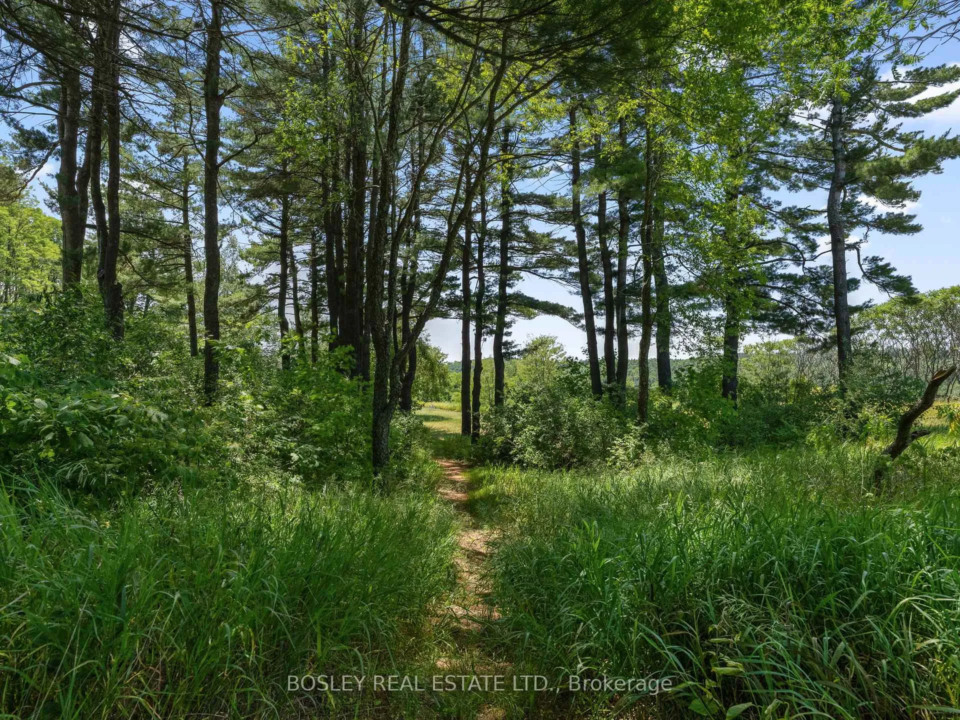 Photo 36 of 256 Wilson Drive, Alnwick/Haldimand, Rural Alnwick/Haldimand — HOMEH