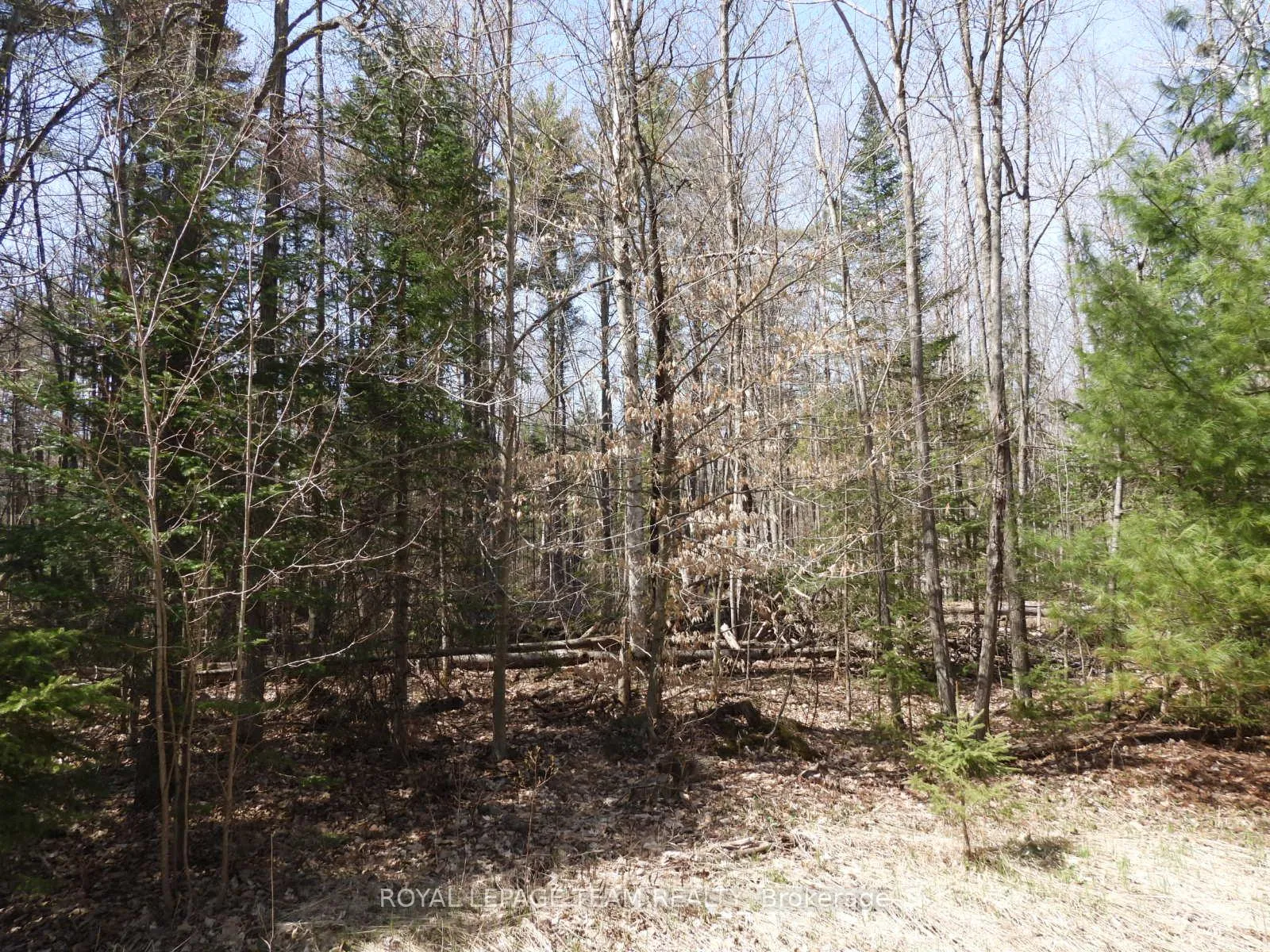 Photo 2 of 0001 Galetta Side Road, Ottawa, Woodlawn/Maclarens Landing/Kilmaurs — HOMEH