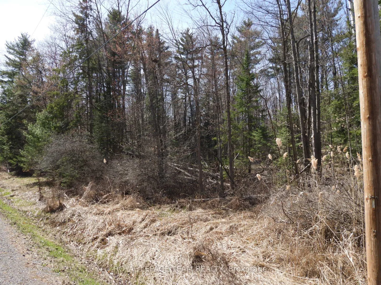 Photo 3 of 0001 Galetta Side Road, Ottawa, Woodlawn/Maclarens Landing/Kilmaurs — HOMEH