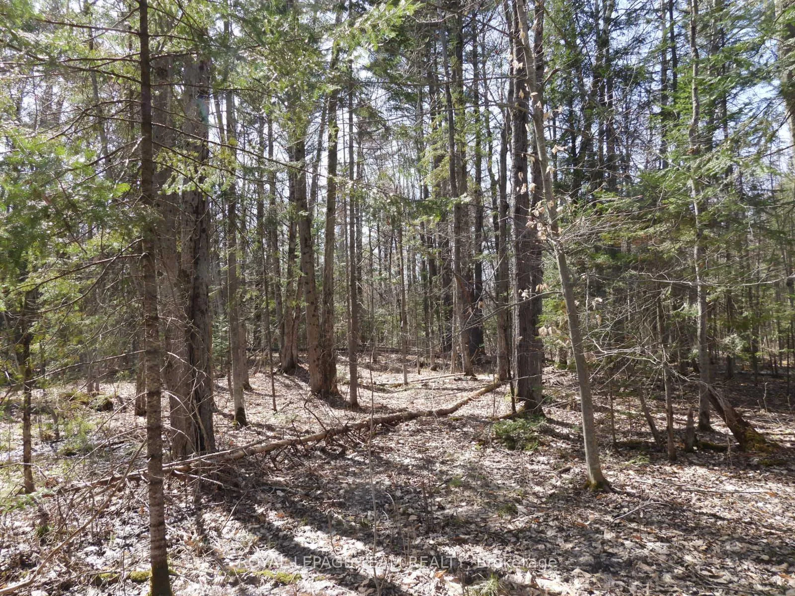 Photo 5 of 0001 Galetta Side Road, Ottawa, Woodlawn/Maclarens Landing/Kilmaurs — HOMEH