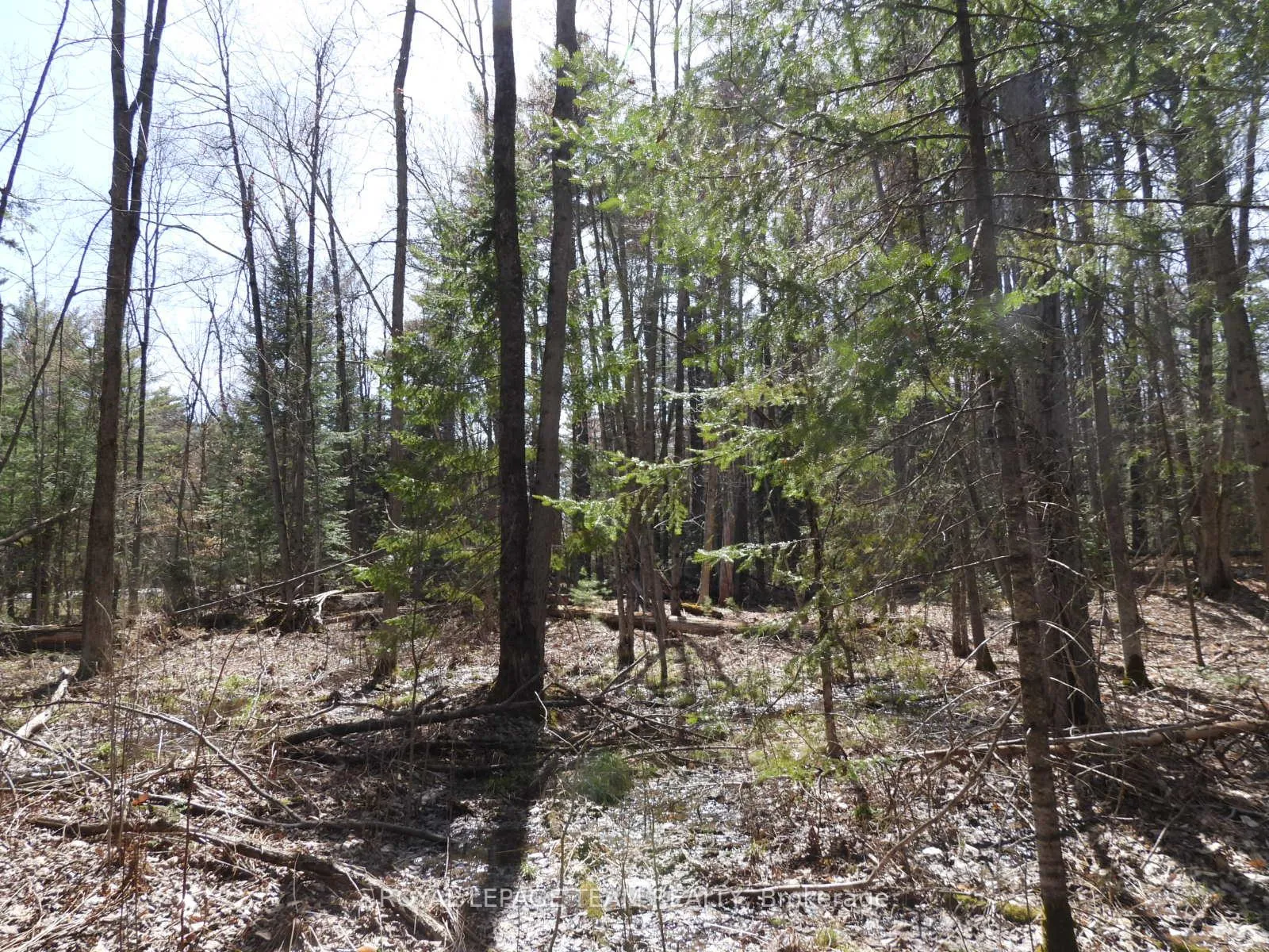 Photo 6 of 0001 Galetta Side Road, Ottawa, Woodlawn/Maclarens Landing/Kilmaurs — HOMEH