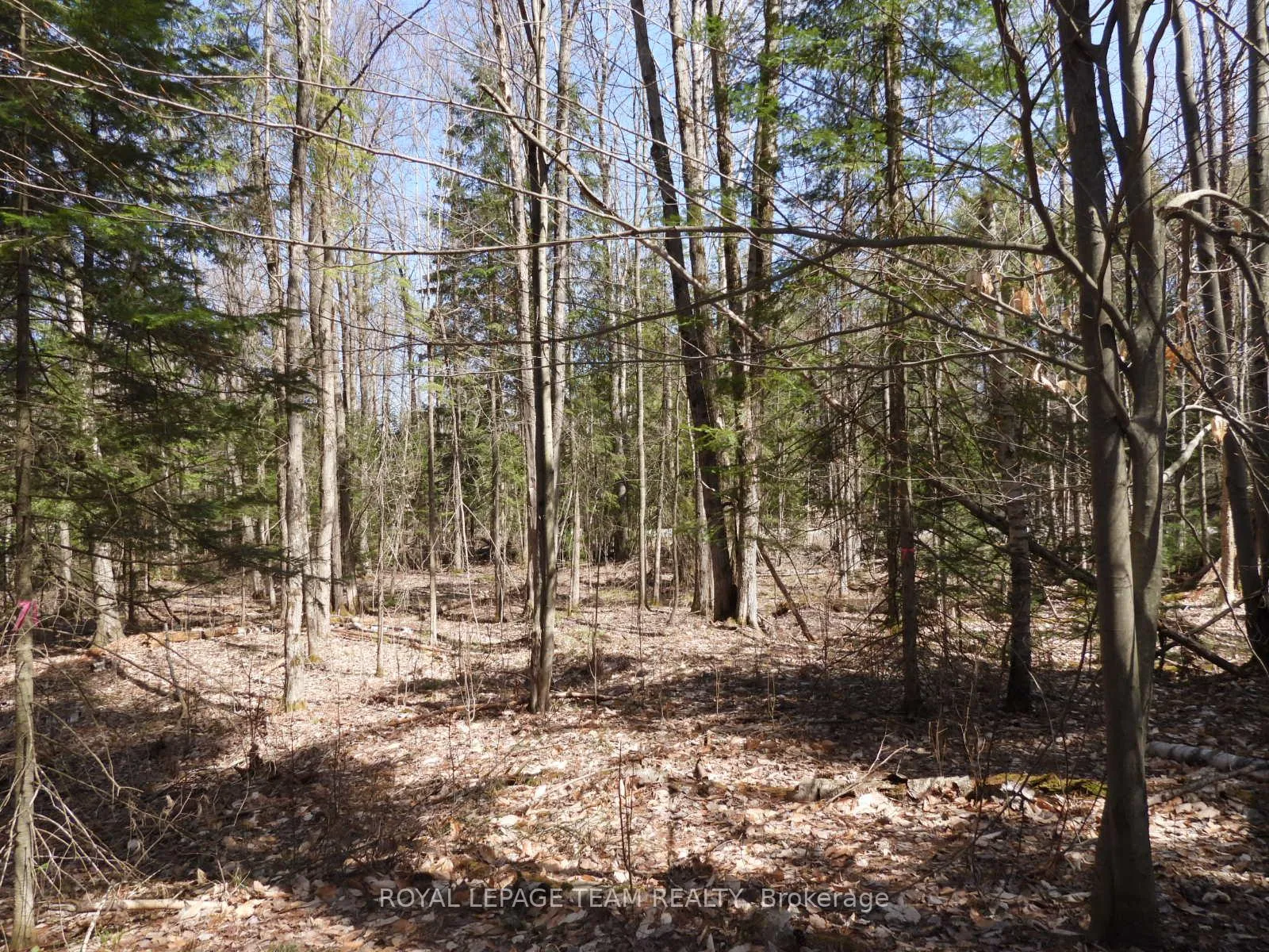 Photo 7 of 0001 Galetta Side Road, Ottawa, Woodlawn/Maclarens Landing/Kilmaurs — HOMEH
