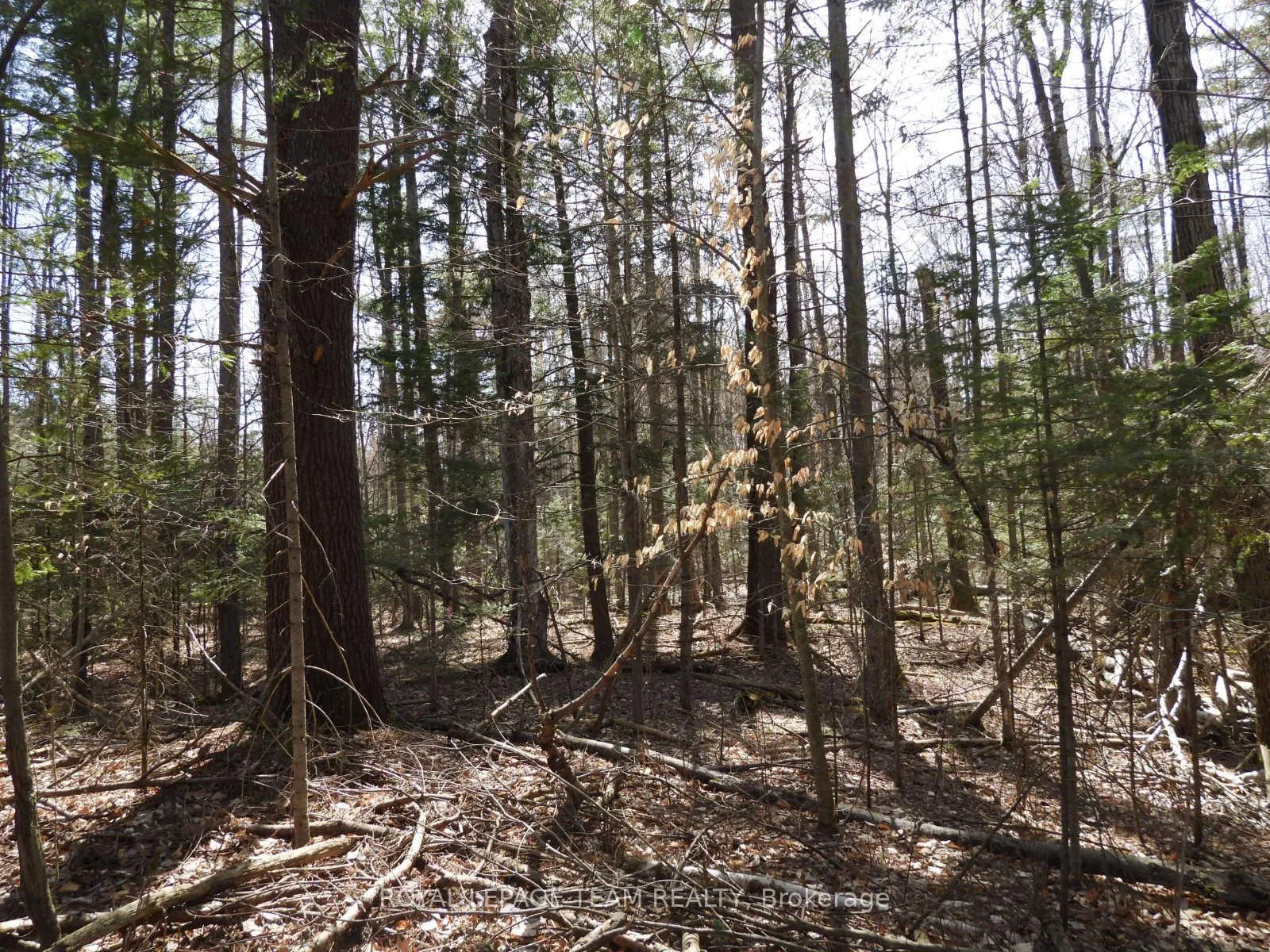 Photo 8 of 0001 Galetta Side Road, Ottawa, Woodlawn/Maclarens Landing/Kilmaurs — HOMEH