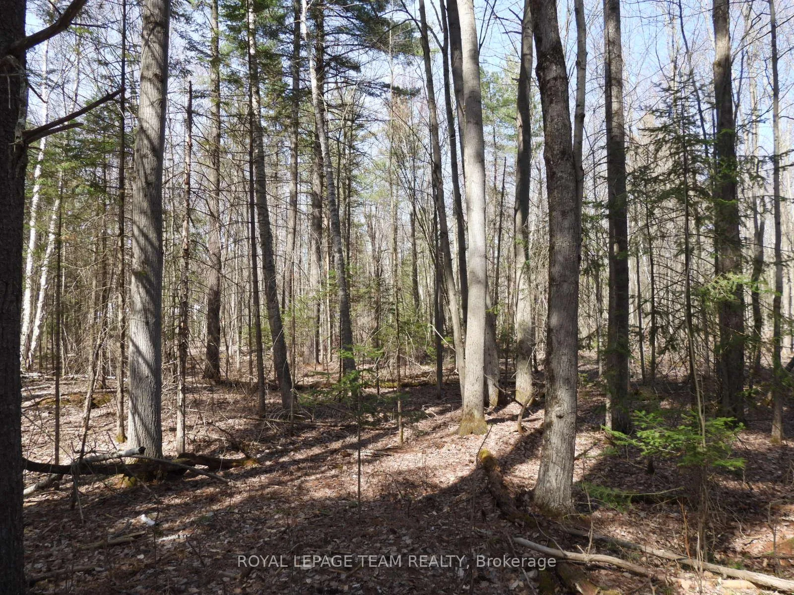 Photo 9 of 0001 Galetta Side Road, Ottawa, Woodlawn/Maclarens Landing/Kilmaurs — HOMEH