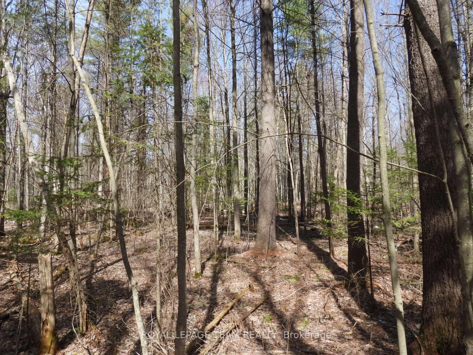 Photo 10 of 0001 Galetta Side Road, Ottawa, Woodlawn/Maclarens Landing/Kilmaurs — HOMEH