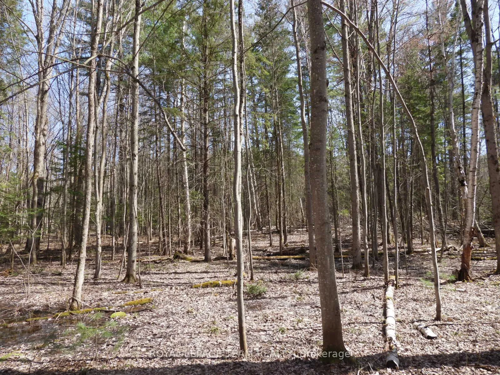 Photo 13 of 0001 Galetta Side Road, Ottawa, Woodlawn/Maclarens Landing/Kilmaurs — HOMEH