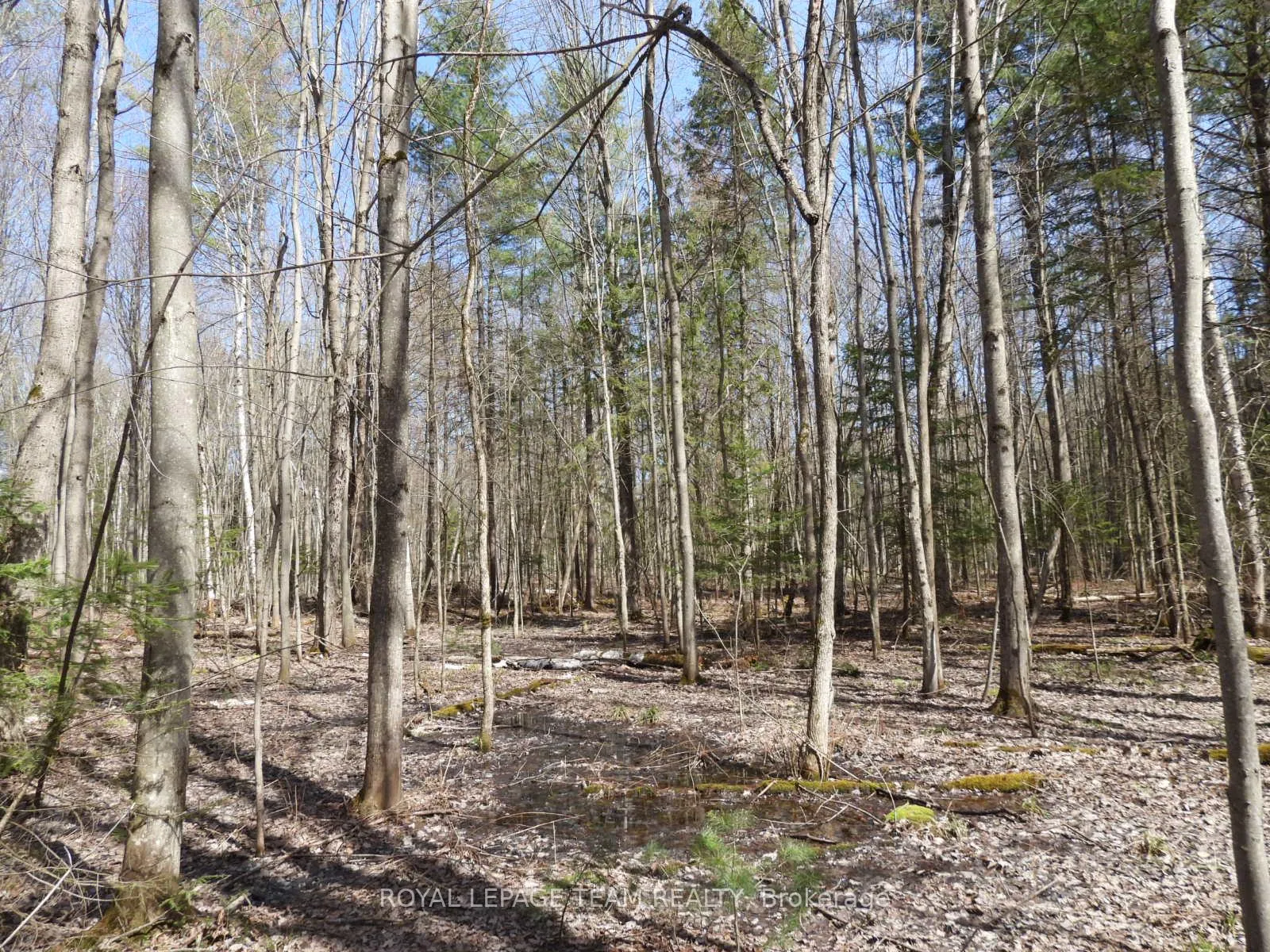 Photo 14 of 0001 Galetta Side Road, Ottawa, Woodlawn/Maclarens Landing/Kilmaurs — HOMEH