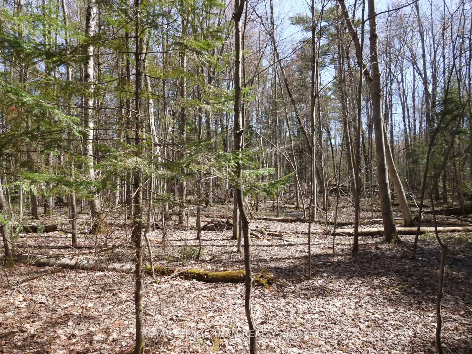 Photo 15 of 0001 Galetta Side Road, Ottawa, Woodlawn/Maclarens Landing/Kilmaurs — HOMEH