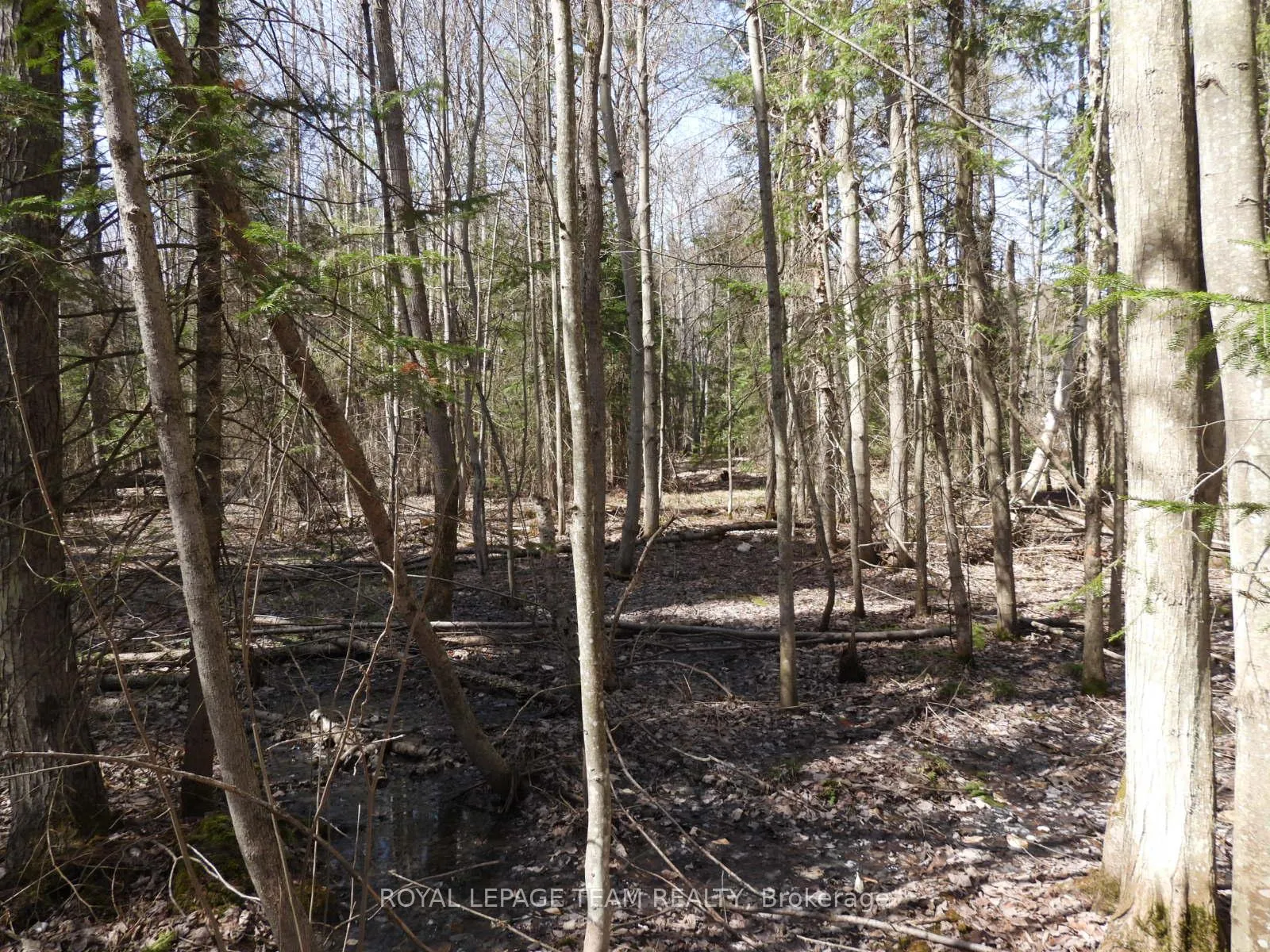Photo 16 of 0001 Galetta Side Road, Ottawa, Woodlawn/Maclarens Landing/Kilmaurs — HOMEH