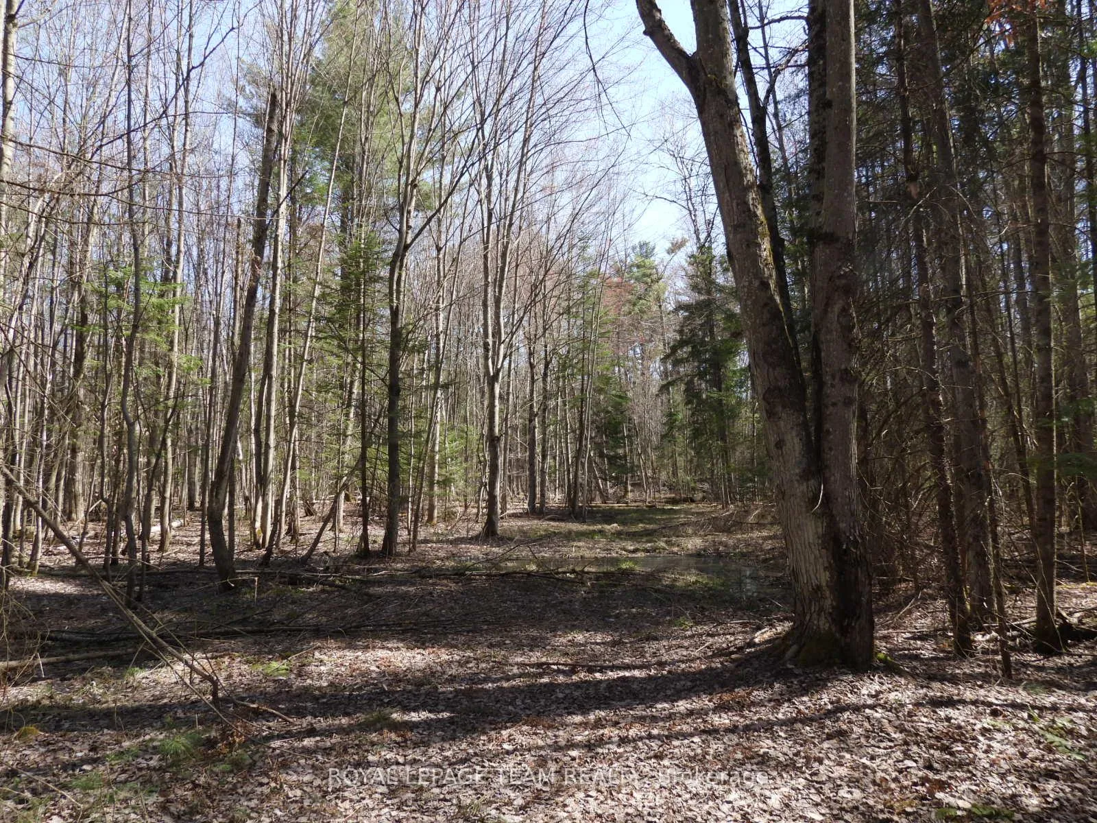 Photo 18 of 0001 Galetta Side Road, Ottawa, Woodlawn/Maclarens Landing/Kilmaurs — HOMEH