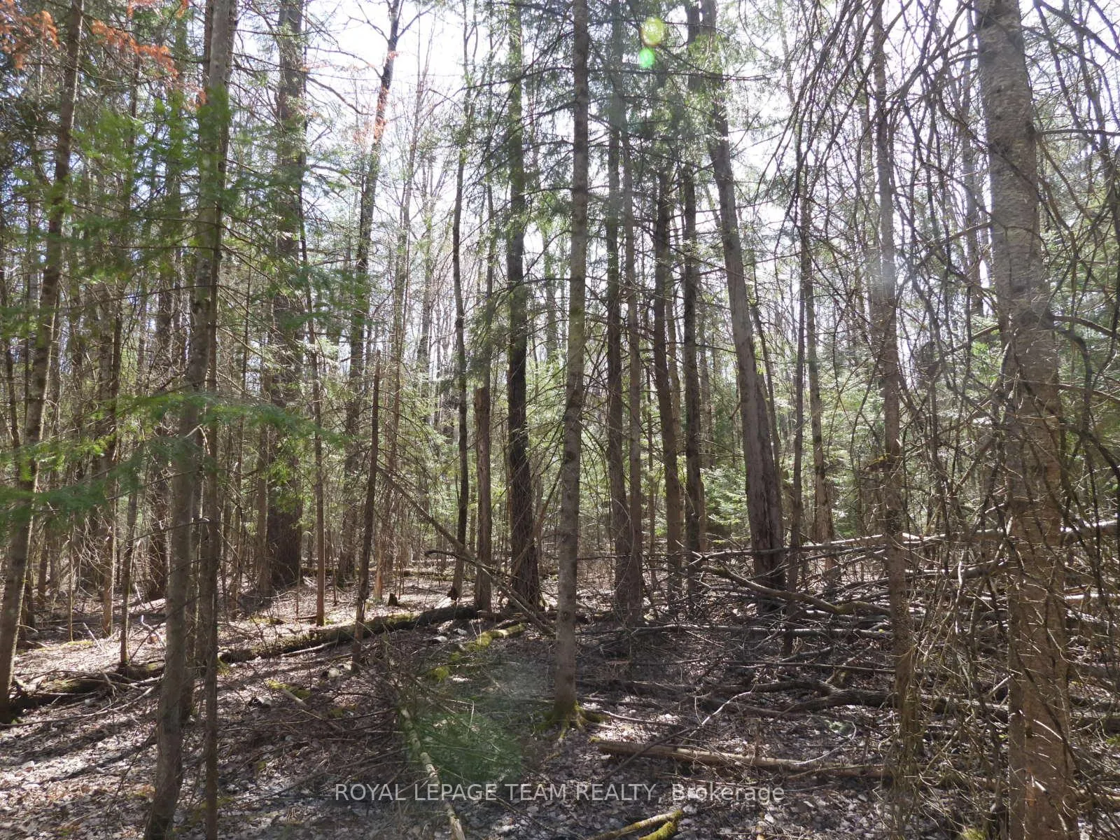 Photo 19 of 0001 Galetta Side Road, Ottawa, Woodlawn/Maclarens Landing/Kilmaurs — HOMEH