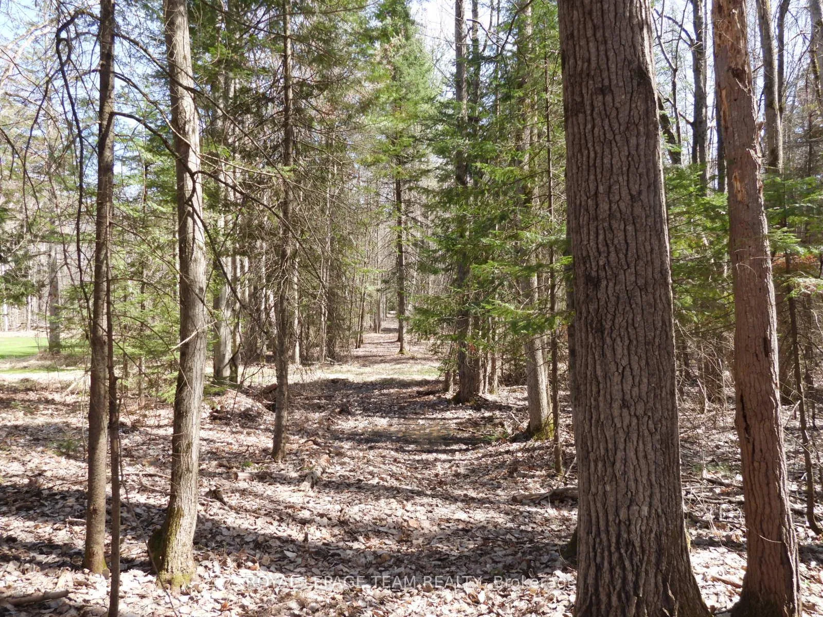 Photo 20 of 0001 Galetta Side Road, Ottawa, Woodlawn/Maclarens Landing/Kilmaurs — HOMEH