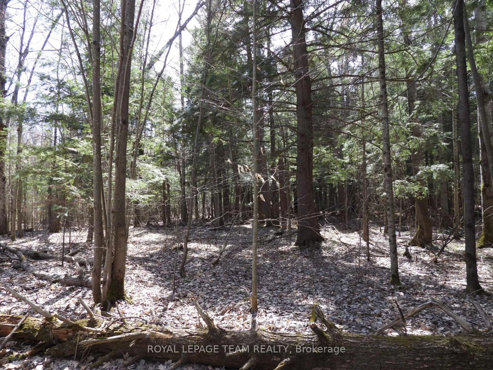 Photo 21 of 0001 Galetta Side Road, Ottawa, Woodlawn/Maclarens Landing/Kilmaurs — HOMEH