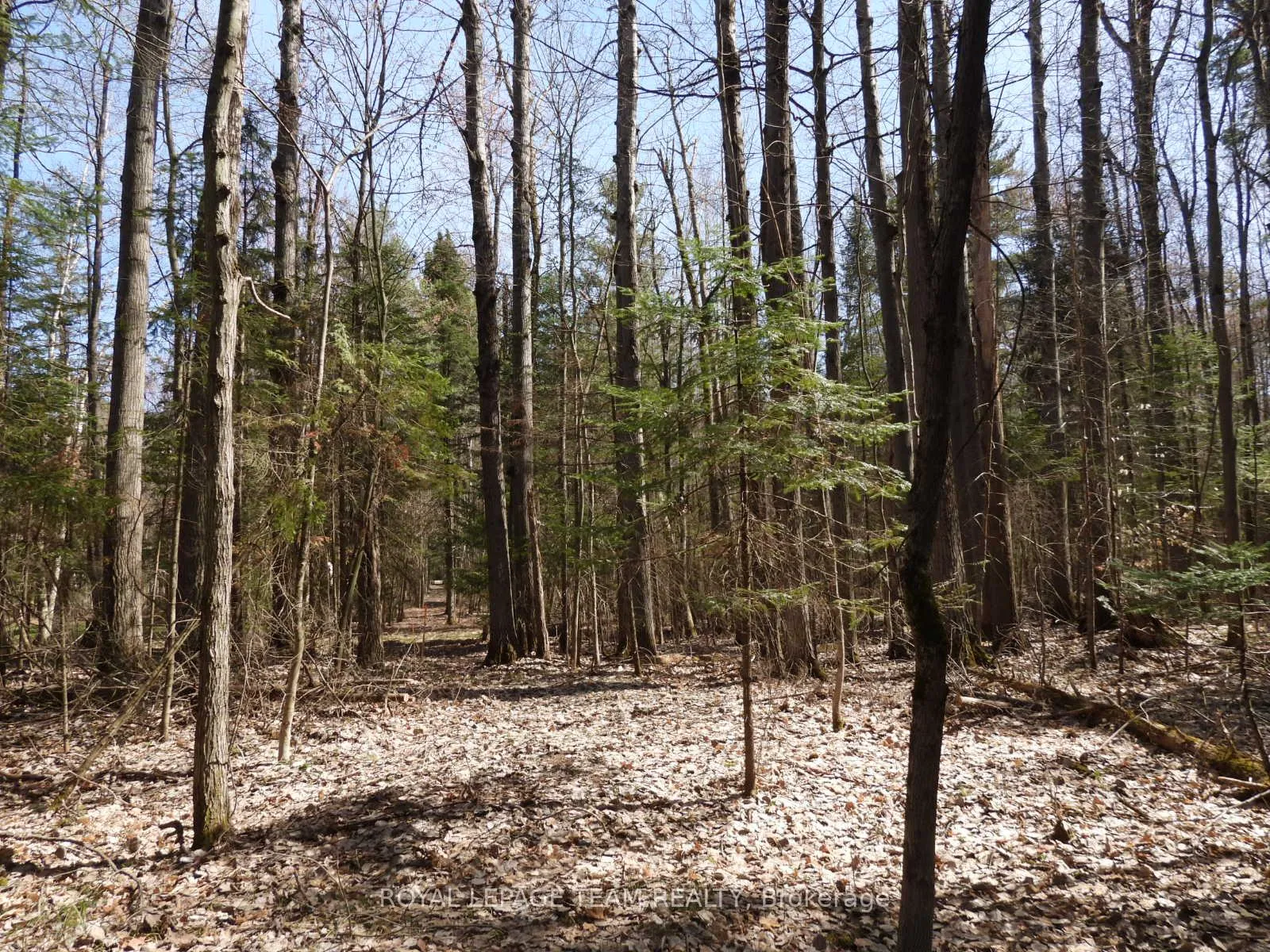 Photo 22 of 0001 Galetta Side Road, Ottawa, Woodlawn/Maclarens Landing/Kilmaurs — HOMEH
