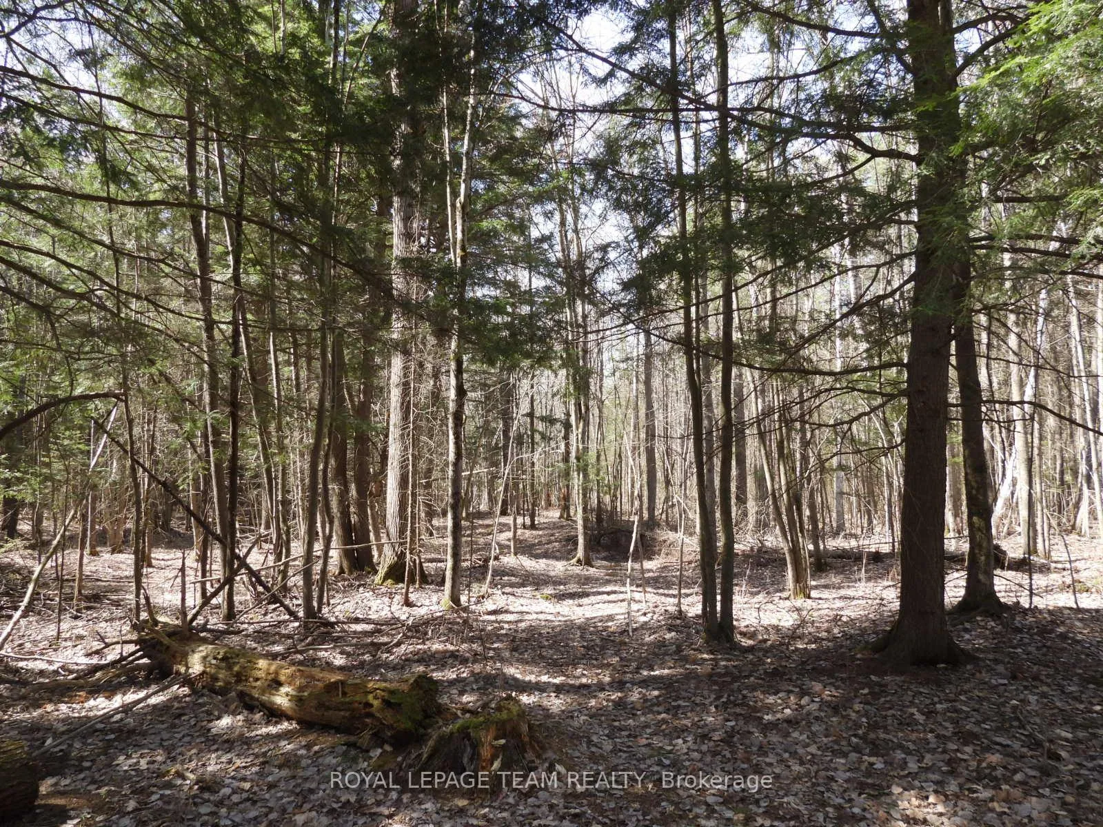Photo 23 of 0001 Galetta Side Road, Ottawa, Woodlawn/Maclarens Landing/Kilmaurs — HOMEH