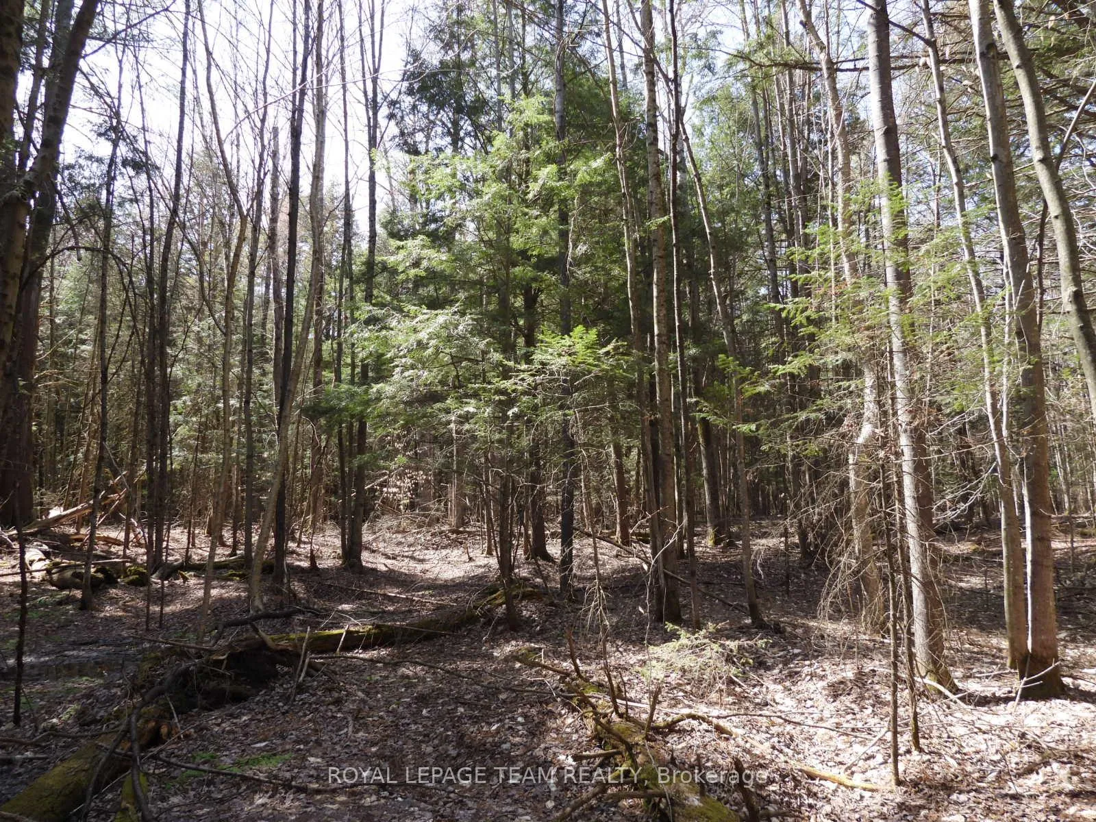 Photo 24 of 0001 Galetta Side Road, Ottawa, Woodlawn/Maclarens Landing/Kilmaurs — HOMEH
