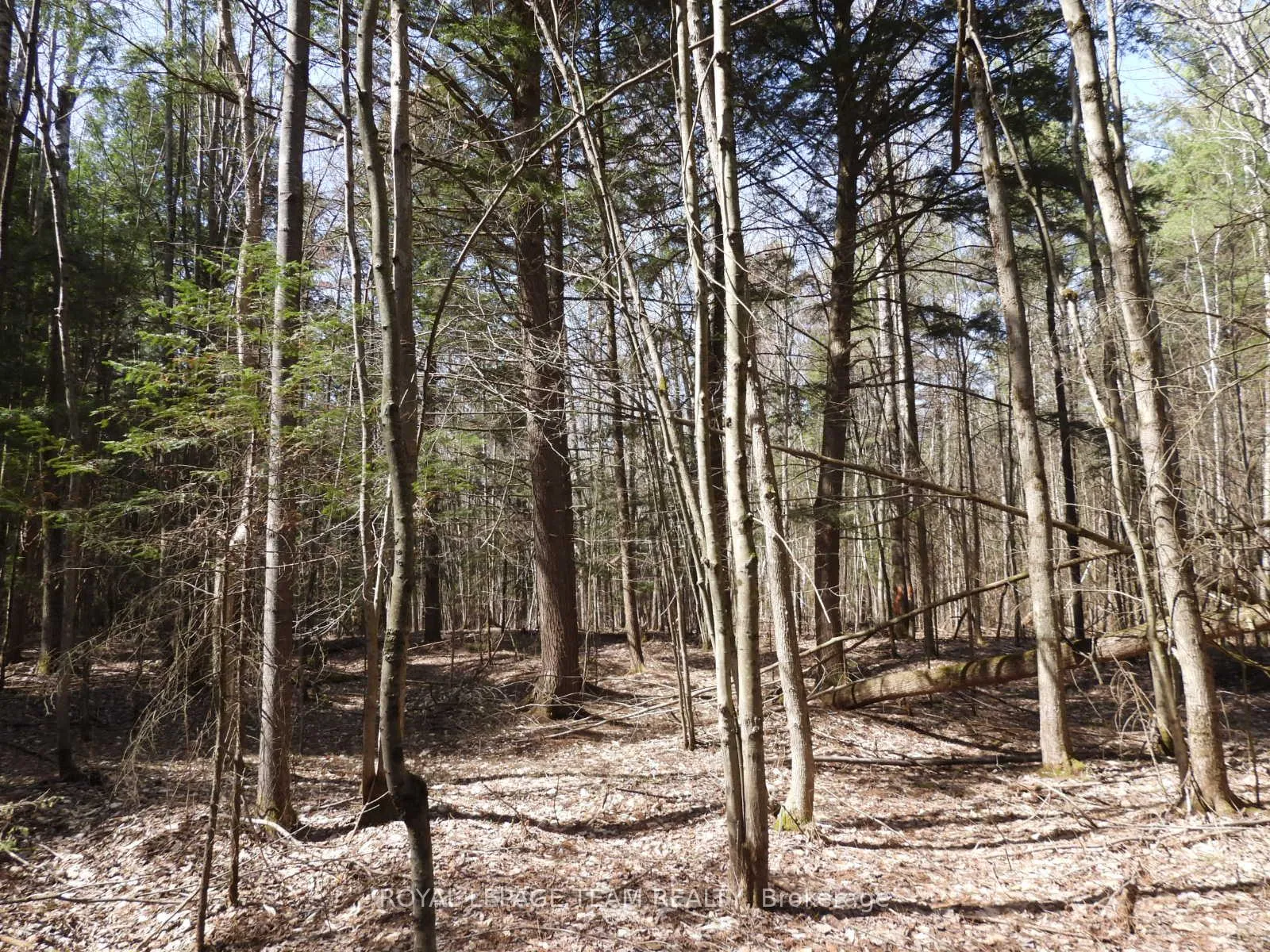 Photo 25 of 0001 Galetta Side Road, Ottawa, Woodlawn/Maclarens Landing/Kilmaurs — HOMEH