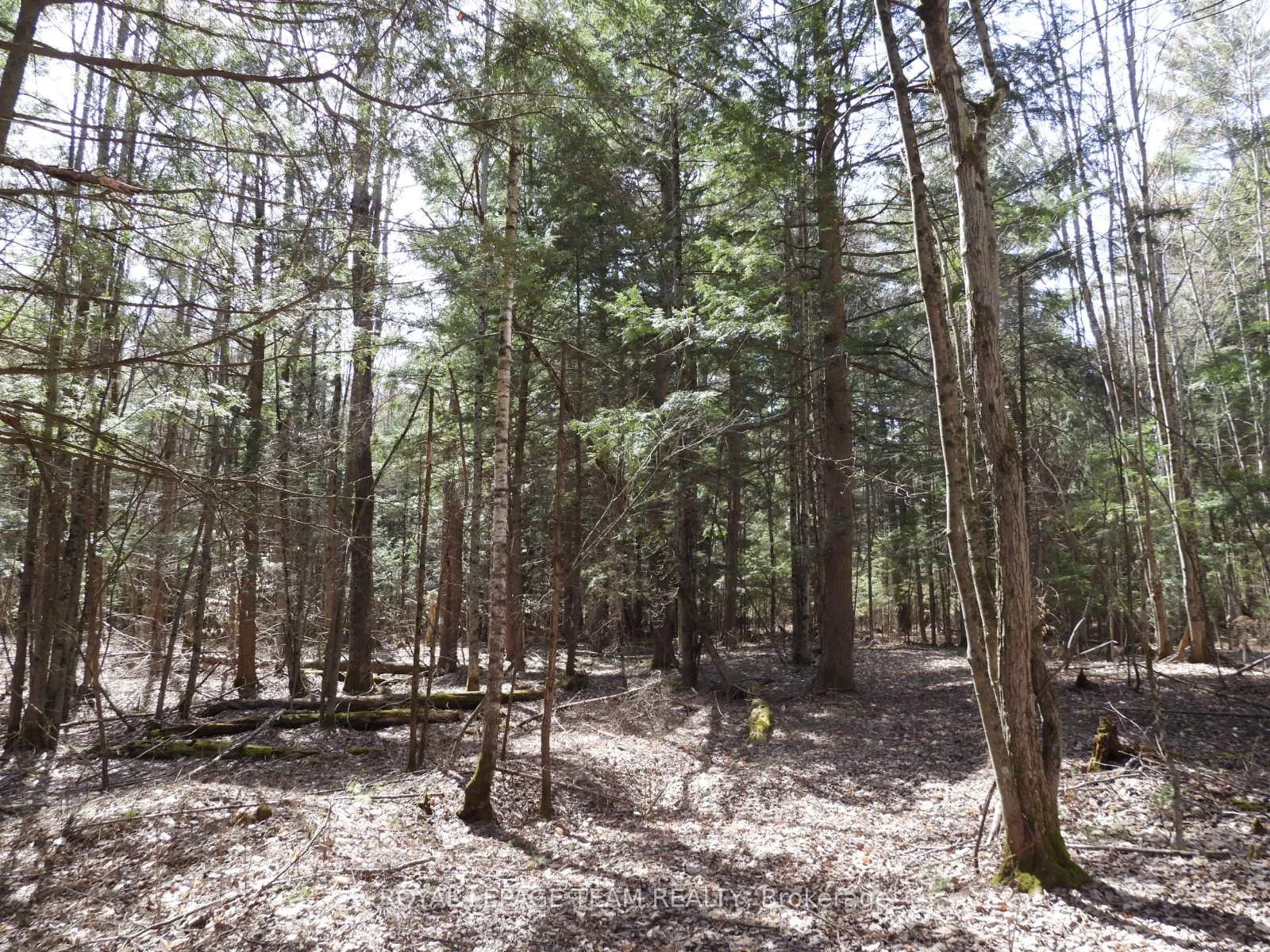 Photo 26 of 0001 Galetta Side Road, Ottawa, Woodlawn/Maclarens Landing/Kilmaurs — HOMEH