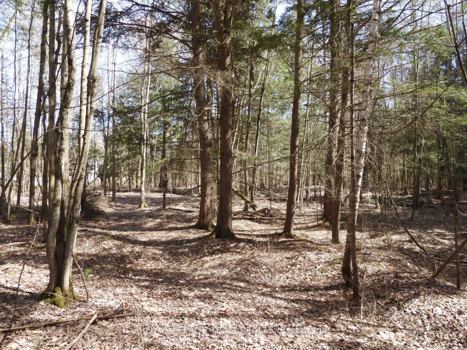 Photo 27 of 0001 Galetta Side Road, Ottawa, Woodlawn/Maclarens Landing/Kilmaurs — HOMEH