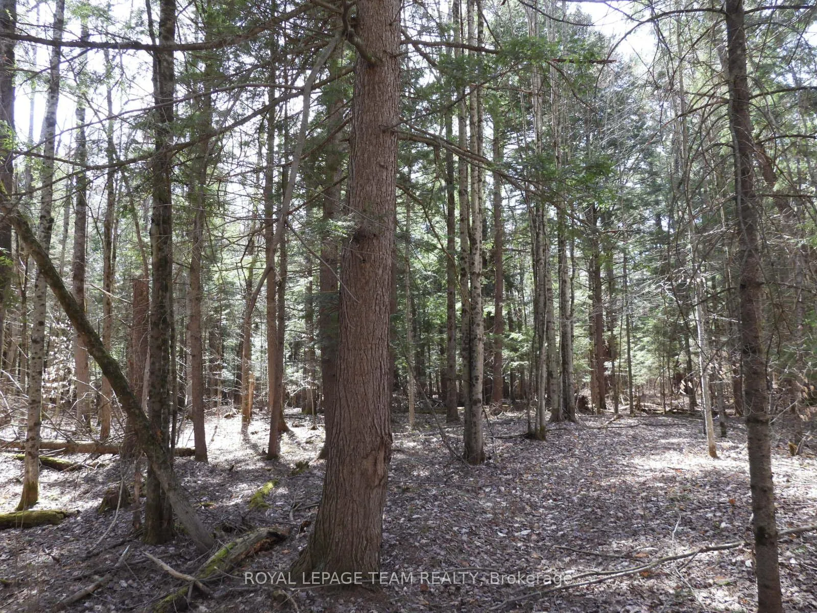 Photo 28 of 0001 Galetta Side Road, Ottawa, Woodlawn/Maclarens Landing/Kilmaurs — HOMEH