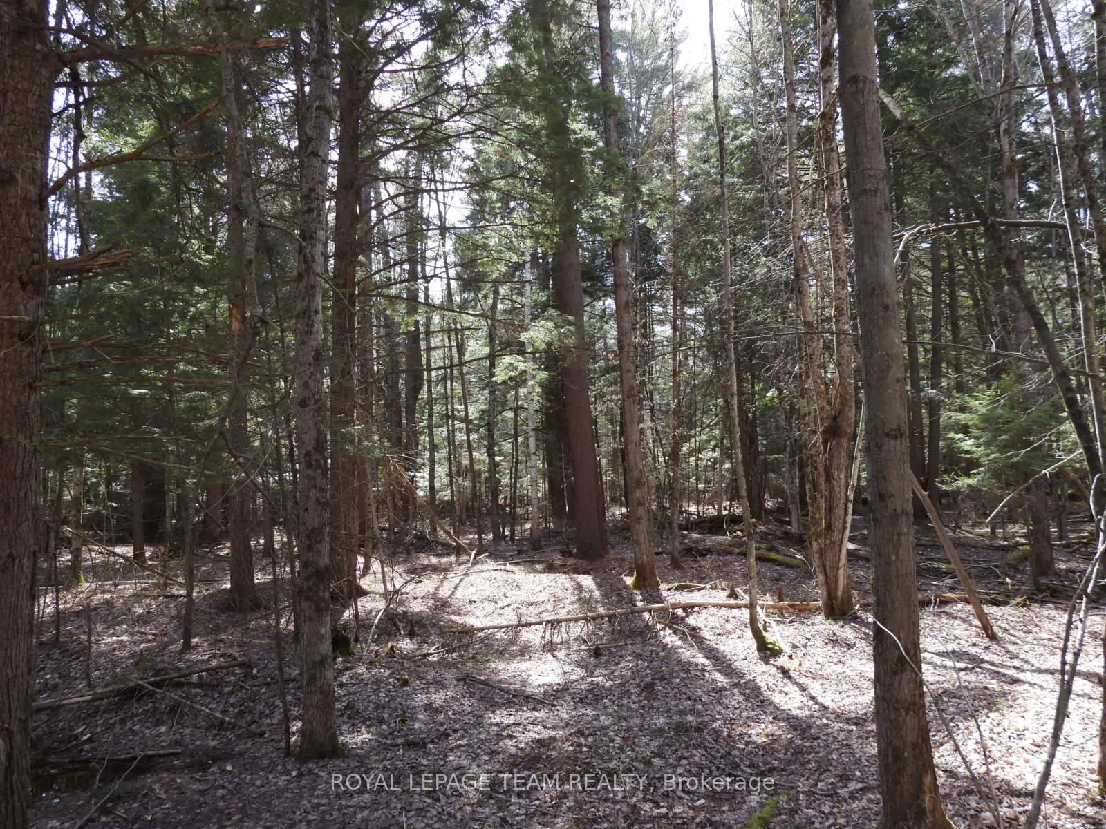 Photo 29 of 0001 Galetta Side Road, Ottawa, Woodlawn/Maclarens Landing/Kilmaurs — HOMEH