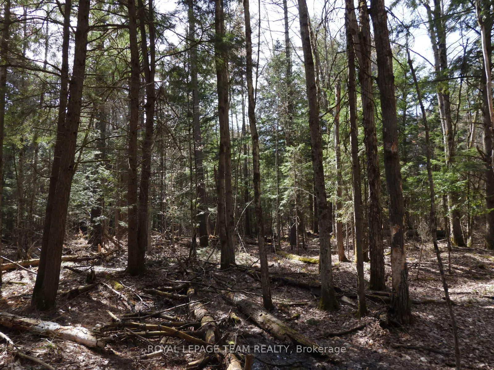 Photo 30 of 0001 Galetta Side Road, Ottawa, Woodlawn/Maclarens Landing/Kilmaurs — HOMEH