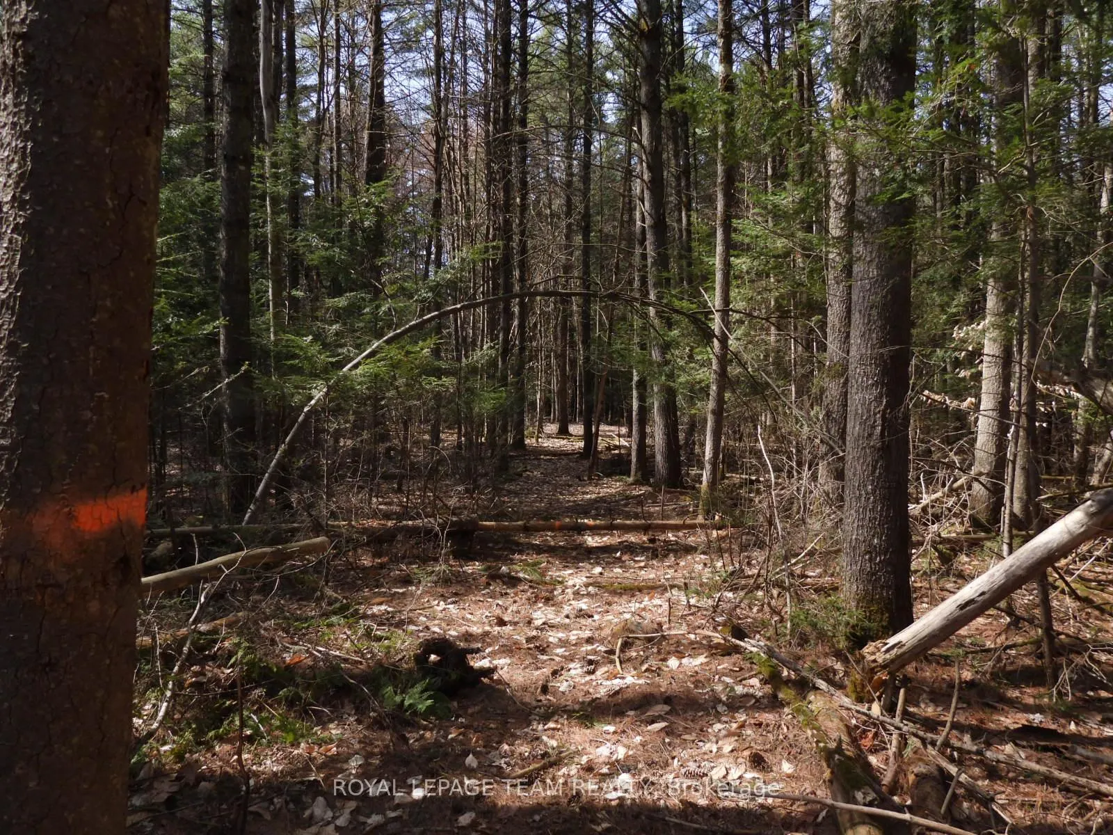 Photo 31 of 0001 Galetta Side Road, Ottawa, Woodlawn/Maclarens Landing/Kilmaurs — HOMEH