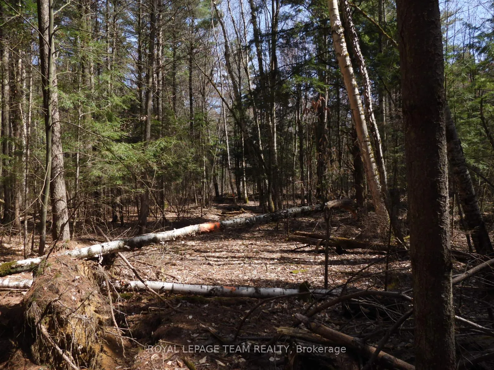 Photo 32 of 0001 Galetta Side Road, Ottawa, Woodlawn/Maclarens Landing/Kilmaurs — HOMEH
