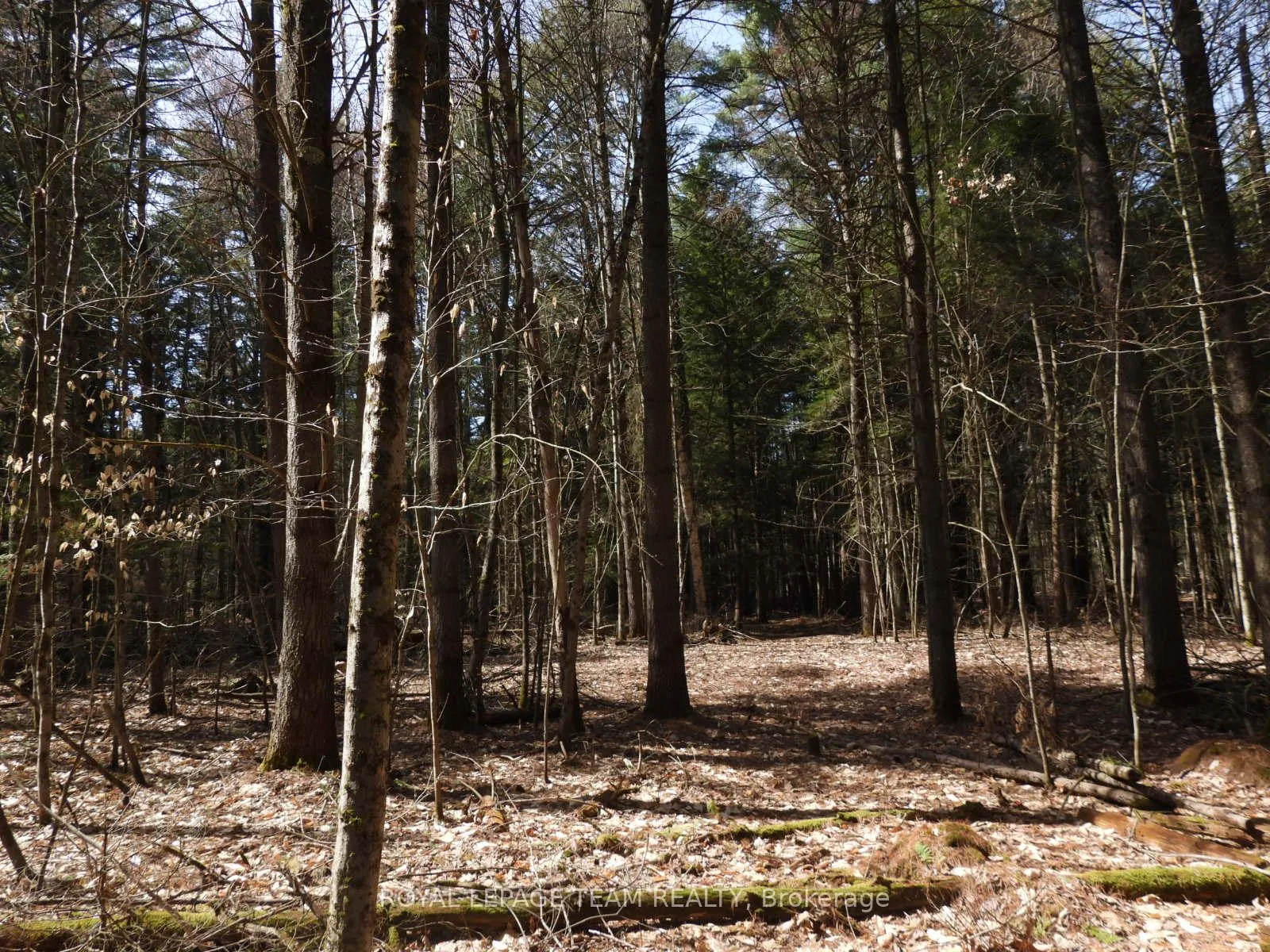 Photo 33 of 0001 Galetta Side Road, Ottawa, Woodlawn/Maclarens Landing/Kilmaurs — HOMEH