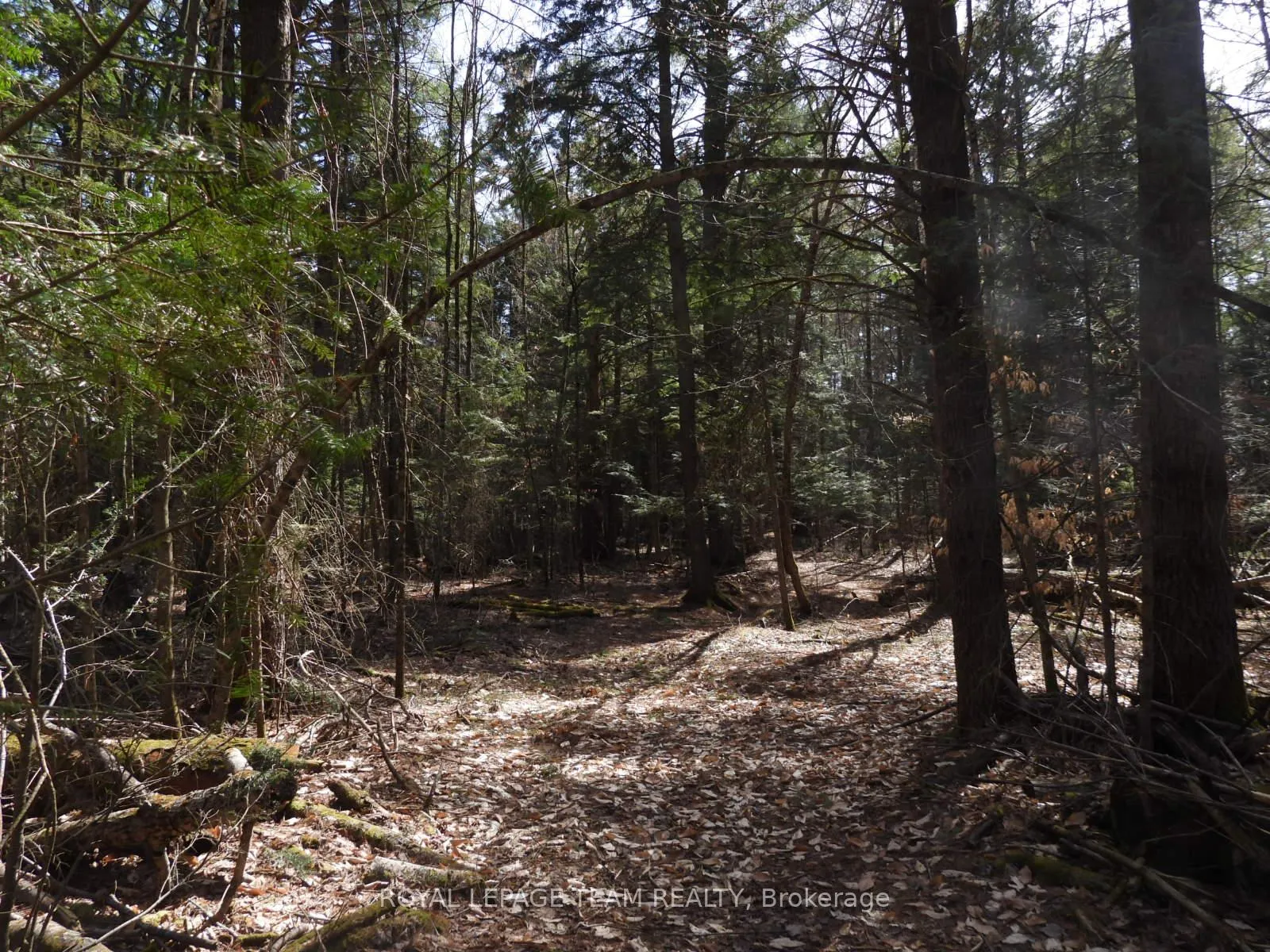Photo 34 of 0001 Galetta Side Road, Ottawa, Woodlawn/Maclarens Landing/Kilmaurs — HOMEH
