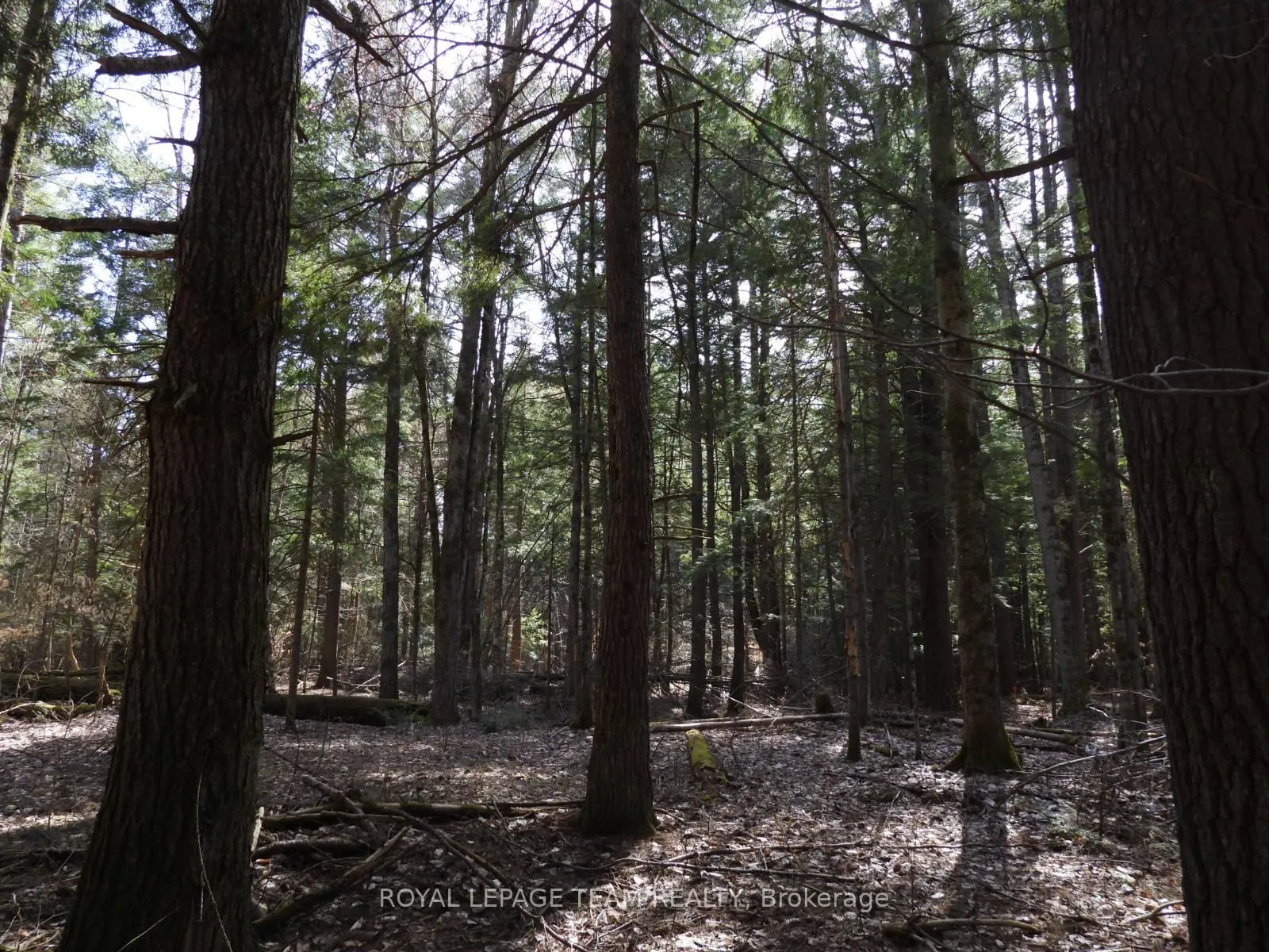 Photo 35 of 0001 Galetta Side Road, Ottawa, Woodlawn/Maclarens Landing/Kilmaurs — HOMEH