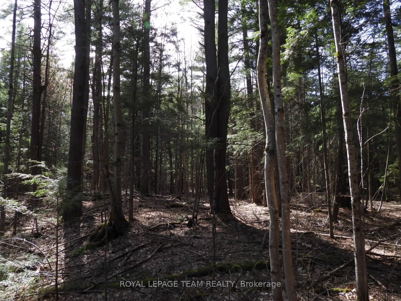 Photo 36 of 0001 Galetta Side Road, Ottawa, Woodlawn/Maclarens Landing/Kilmaurs — HOMEH