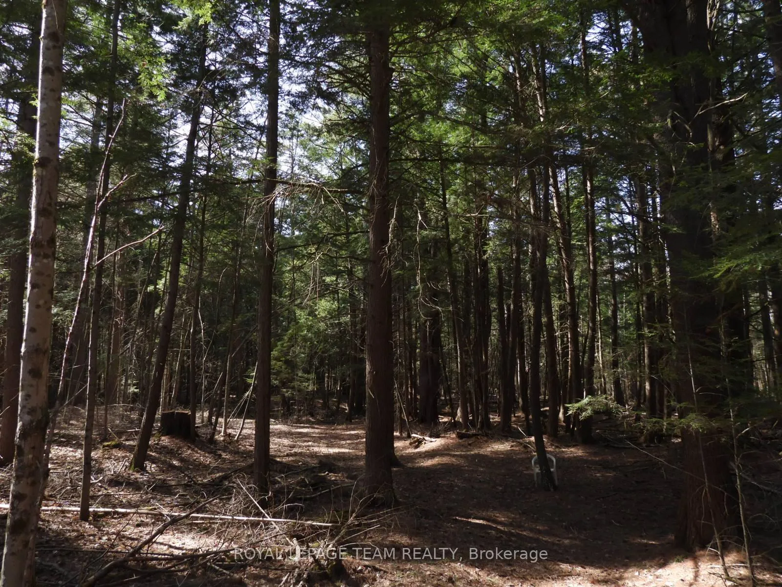 Photo 37 of 0001 Galetta Side Road, Ottawa, Woodlawn/Maclarens Landing/Kilmaurs — HOMEH