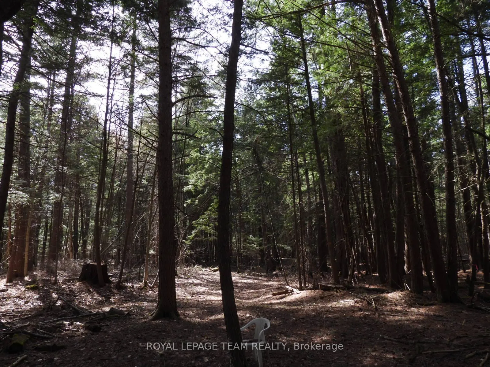 Photo 38 of 0001 Galetta Side Road, Ottawa, Woodlawn/Maclarens Landing/Kilmaurs — HOMEH