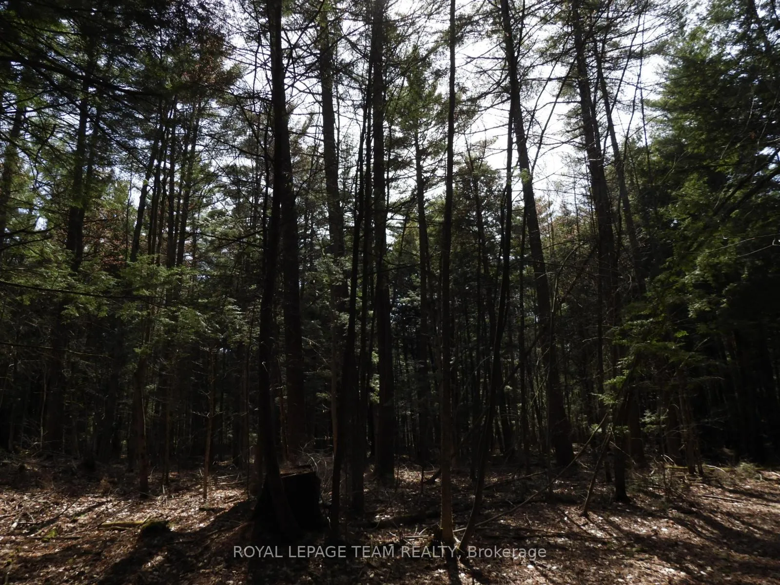 Photo 39 of 0001 Galetta Side Road, Ottawa, Woodlawn/Maclarens Landing/Kilmaurs — HOMEH