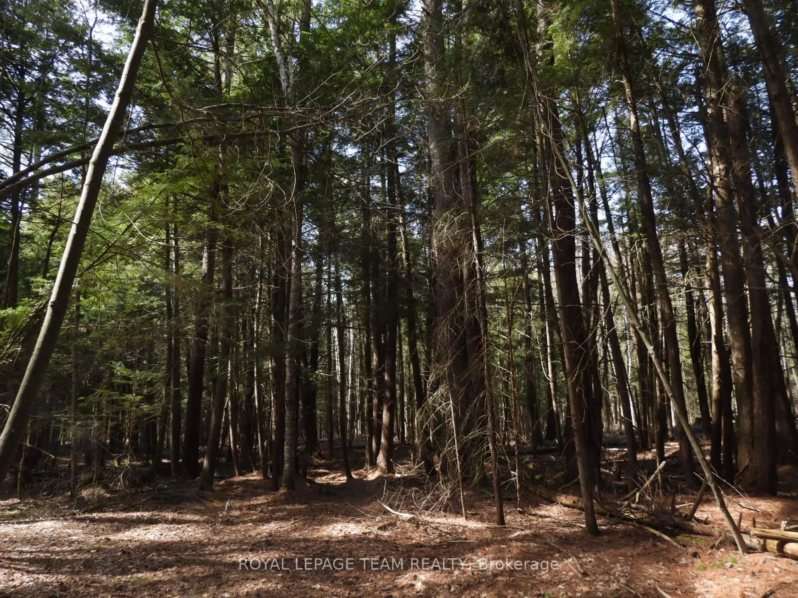 Photo 40 of 0001 Galetta Side Road, Ottawa, Woodlawn/Maclarens Landing/Kilmaurs — HOMEH