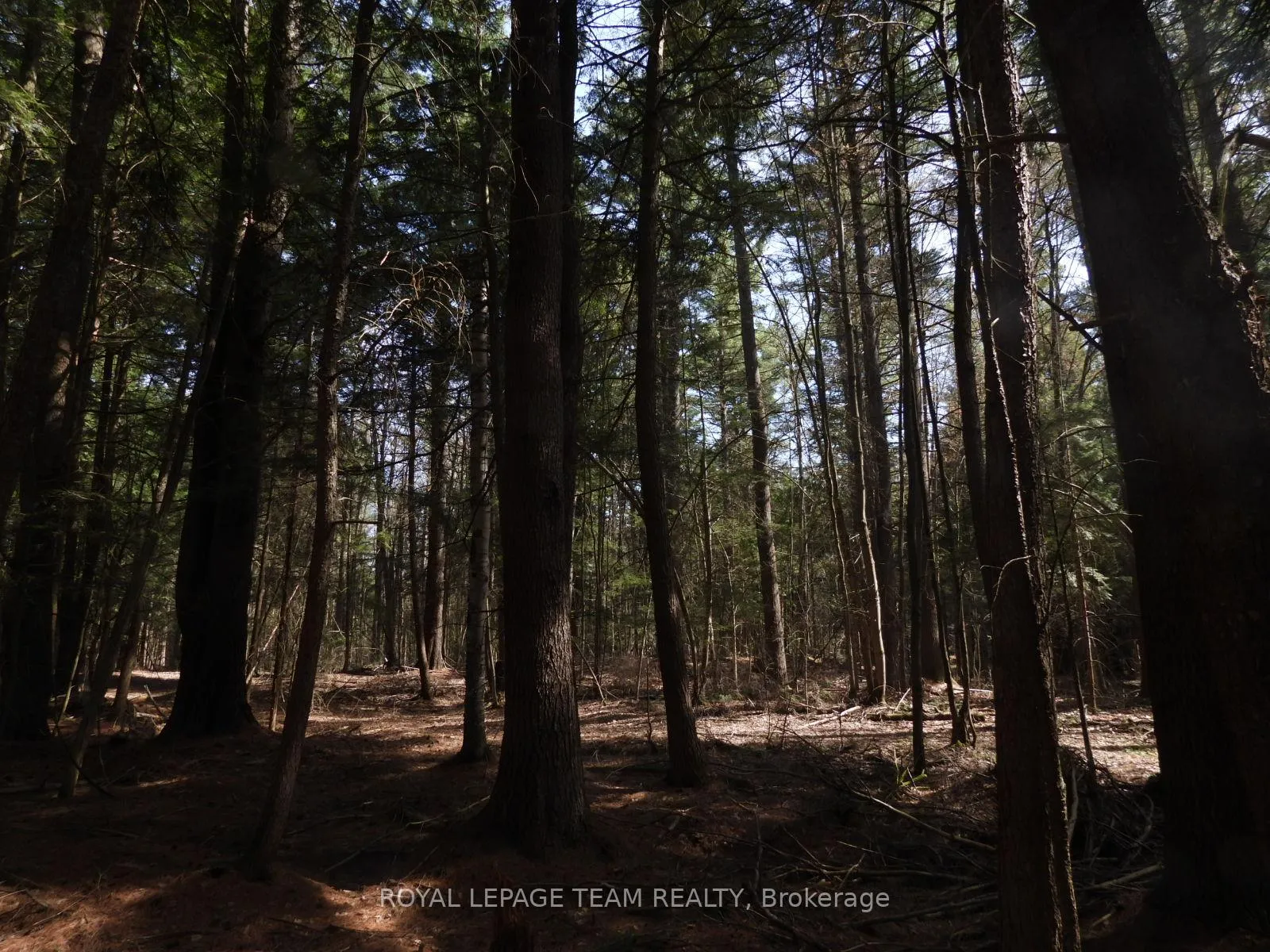 Photo 41 of 0001 Galetta Side Road, Ottawa, Woodlawn/Maclarens Landing/Kilmaurs — HOMEH