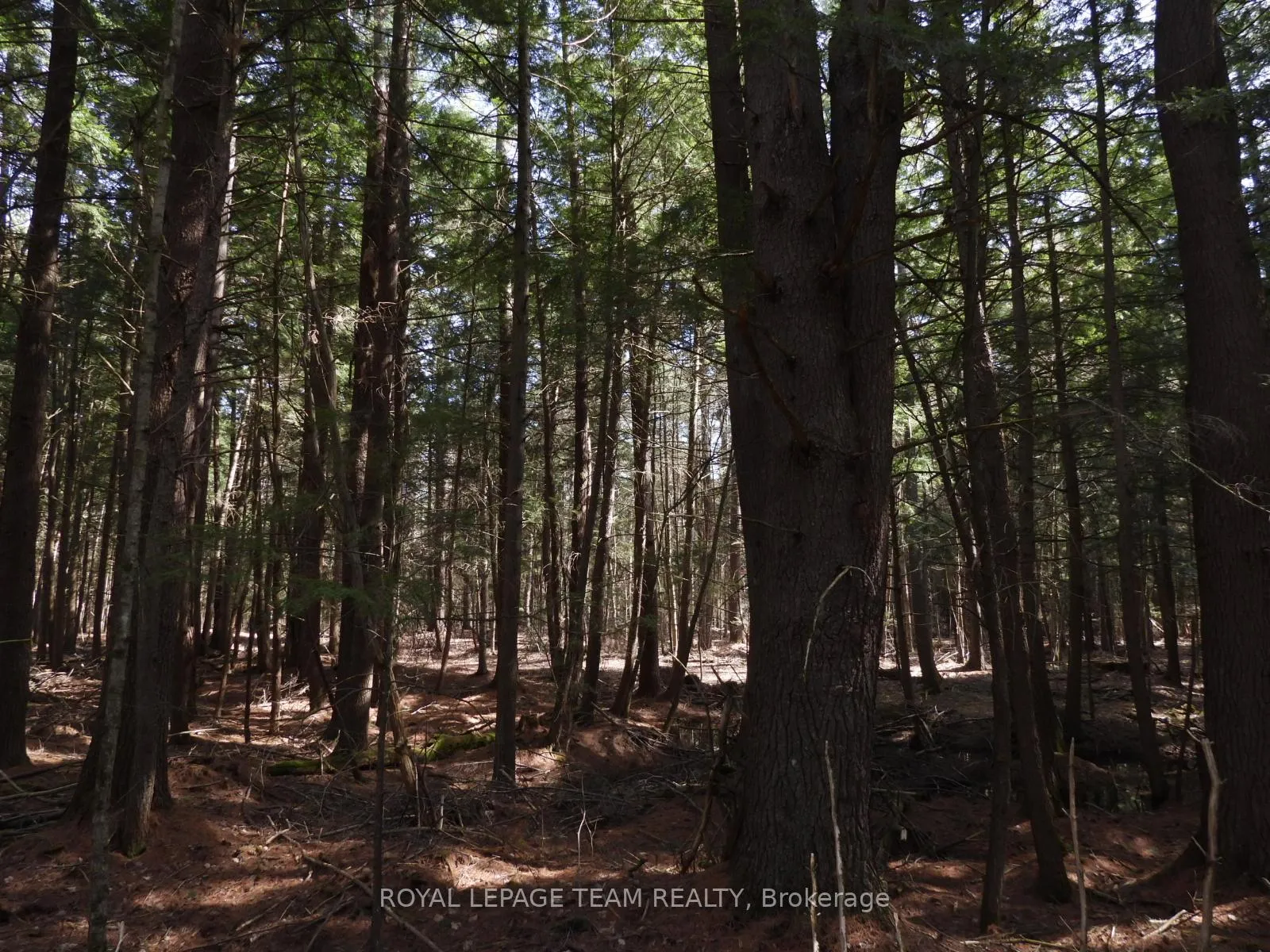 Photo 42 of 0001 Galetta Side Road, Ottawa, Woodlawn/Maclarens Landing/Kilmaurs — HOMEH