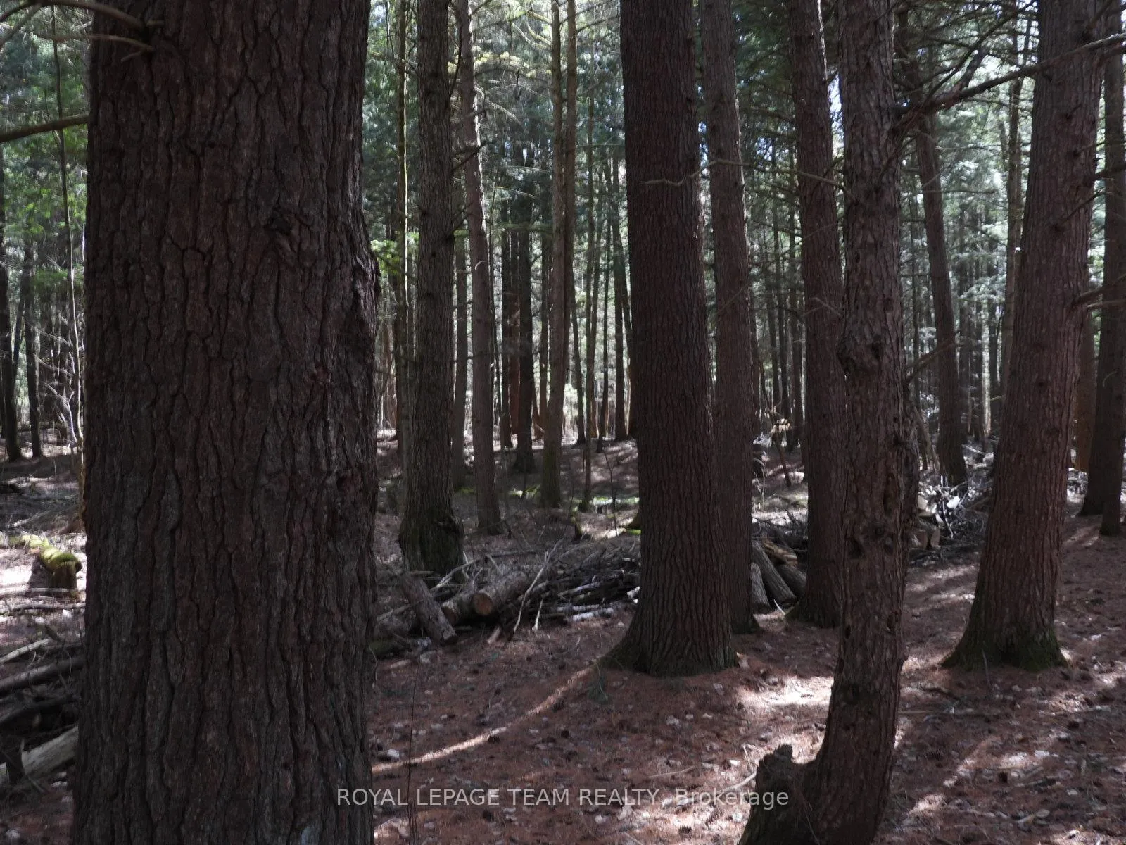 Photo 43 of 0001 Galetta Side Road, Ottawa, Woodlawn/Maclarens Landing/Kilmaurs — HOMEH