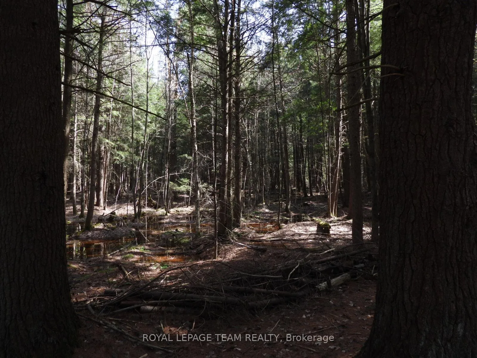 Photo 44 of 0001 Galetta Side Road, Ottawa, Woodlawn/Maclarens Landing/Kilmaurs — HOMEH